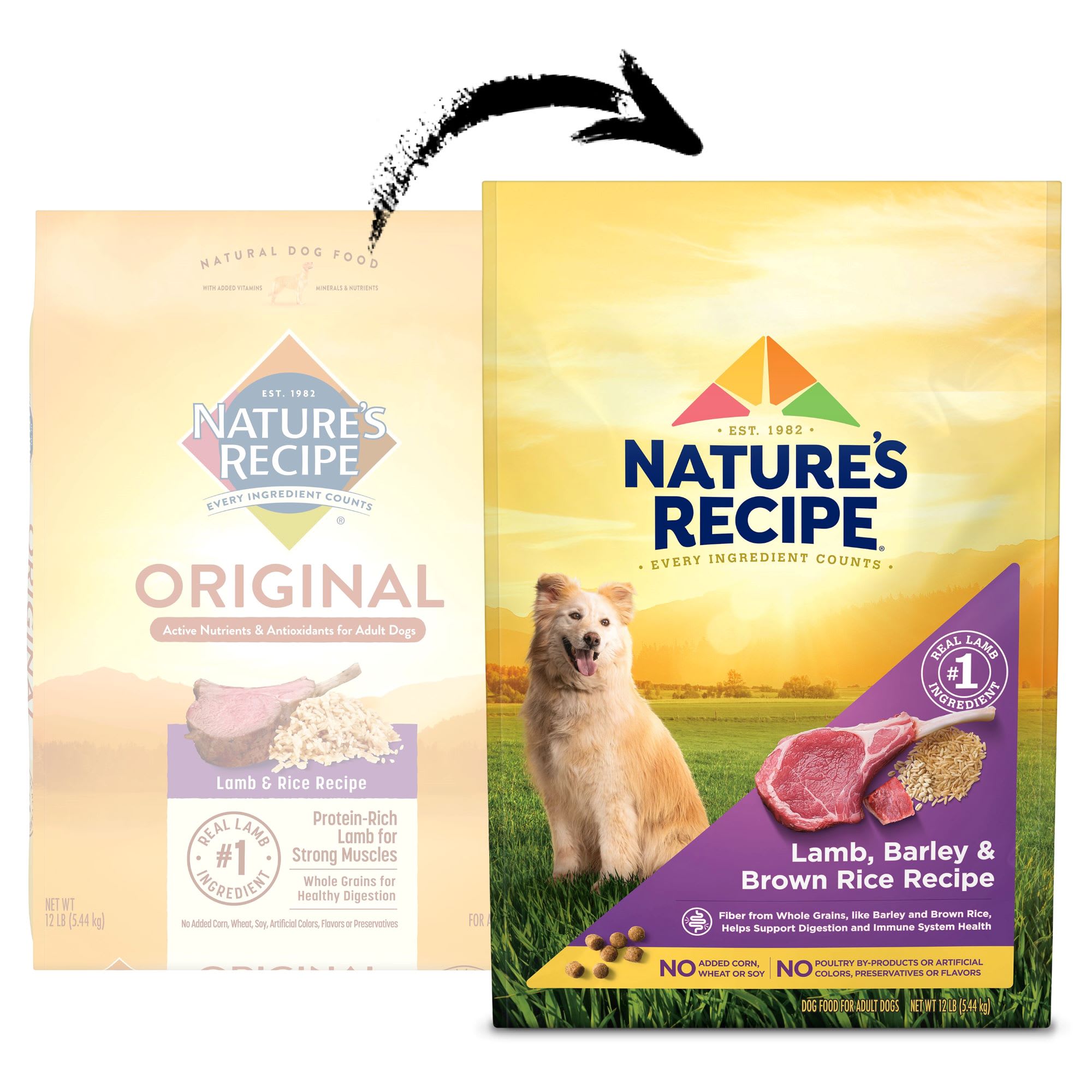 Nature s Recipe Original Lamb Rice Recipe Adult Dry Dog Food