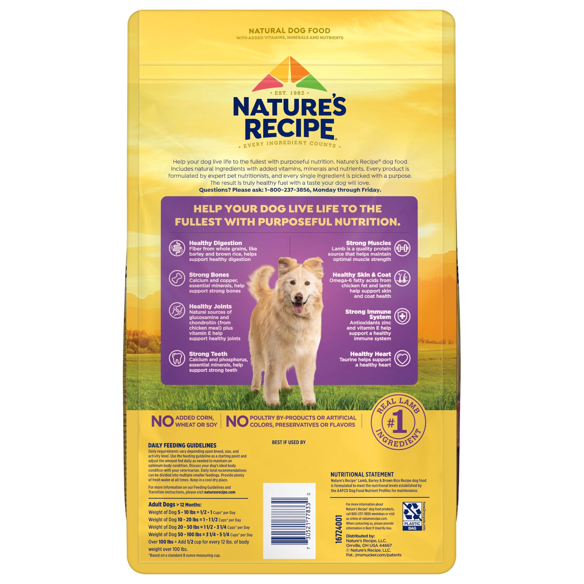 Natures recipe clearance petco