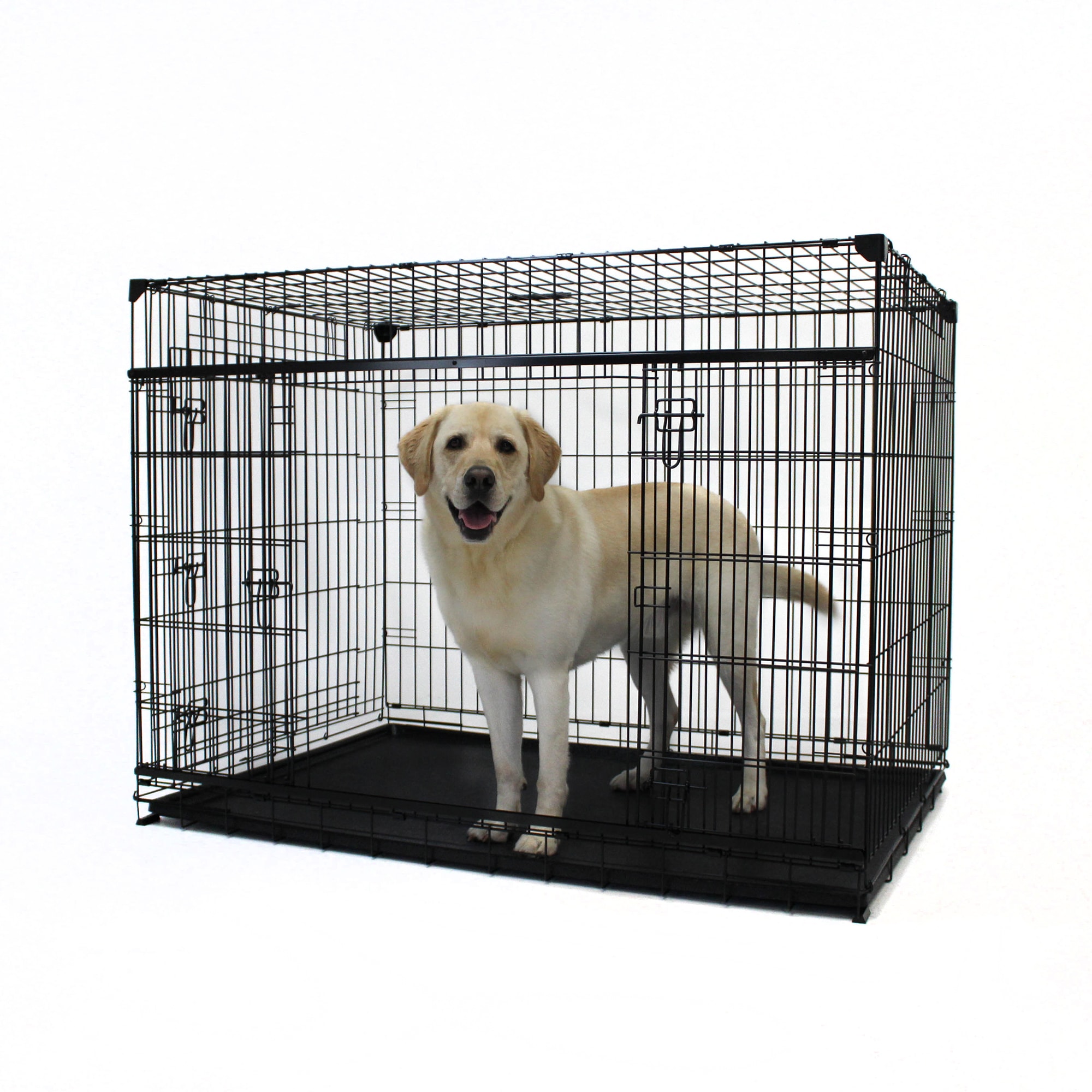 54 inch shop dog cage