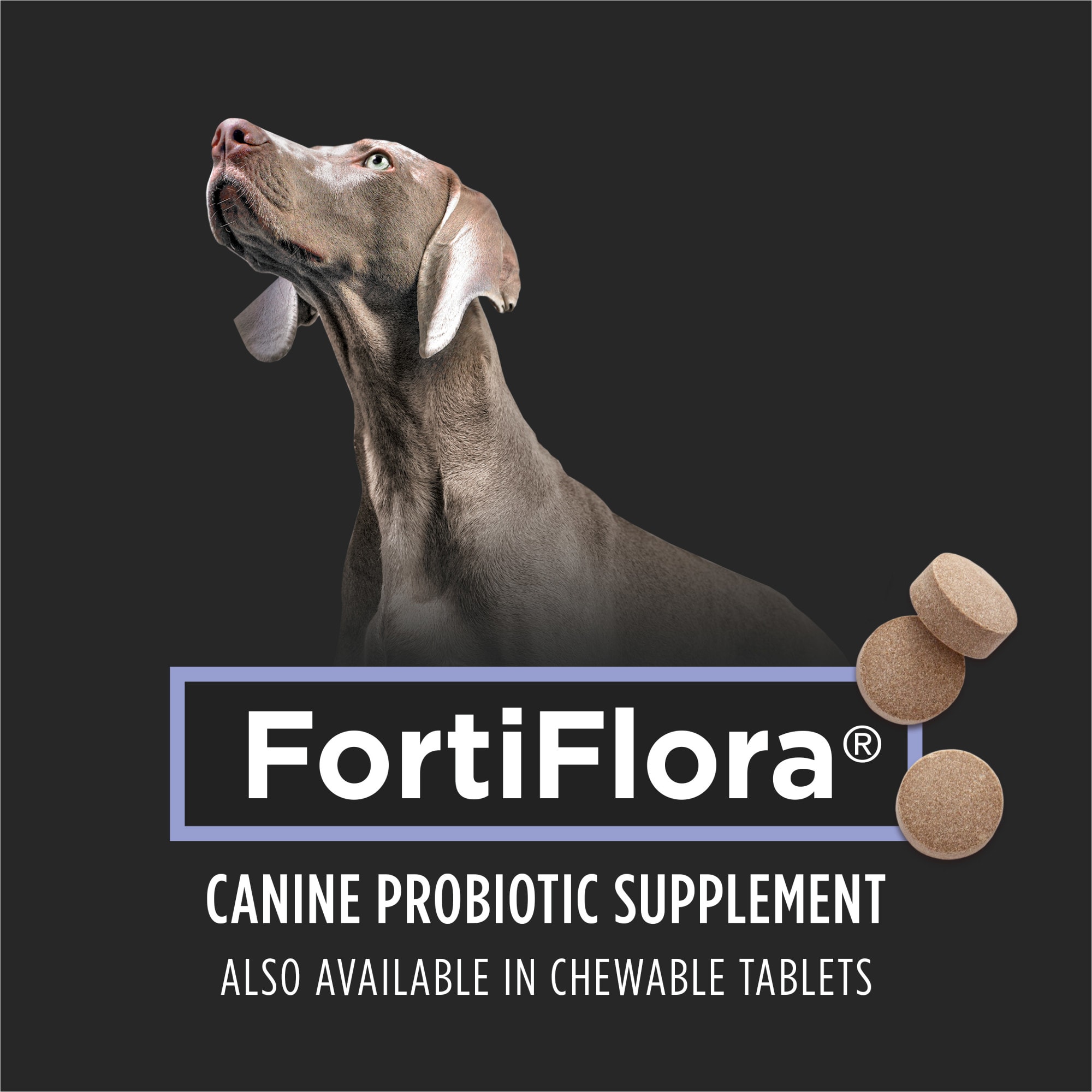 FortiFlora® Probiotic Supplement for Dogs