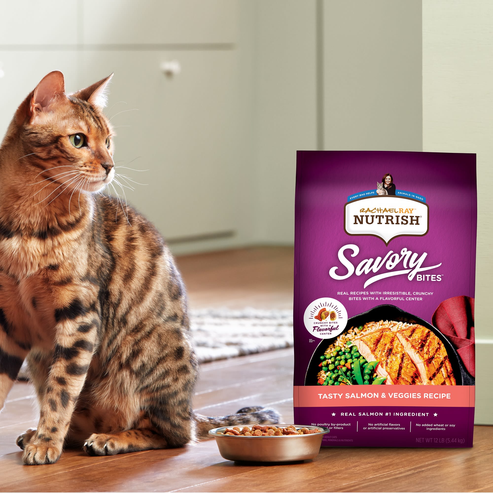 Rachael Ray Nutrish Savory Bites Tasty Salmon Veggies Recipe Dry Cat Food 12 lbs. Petco