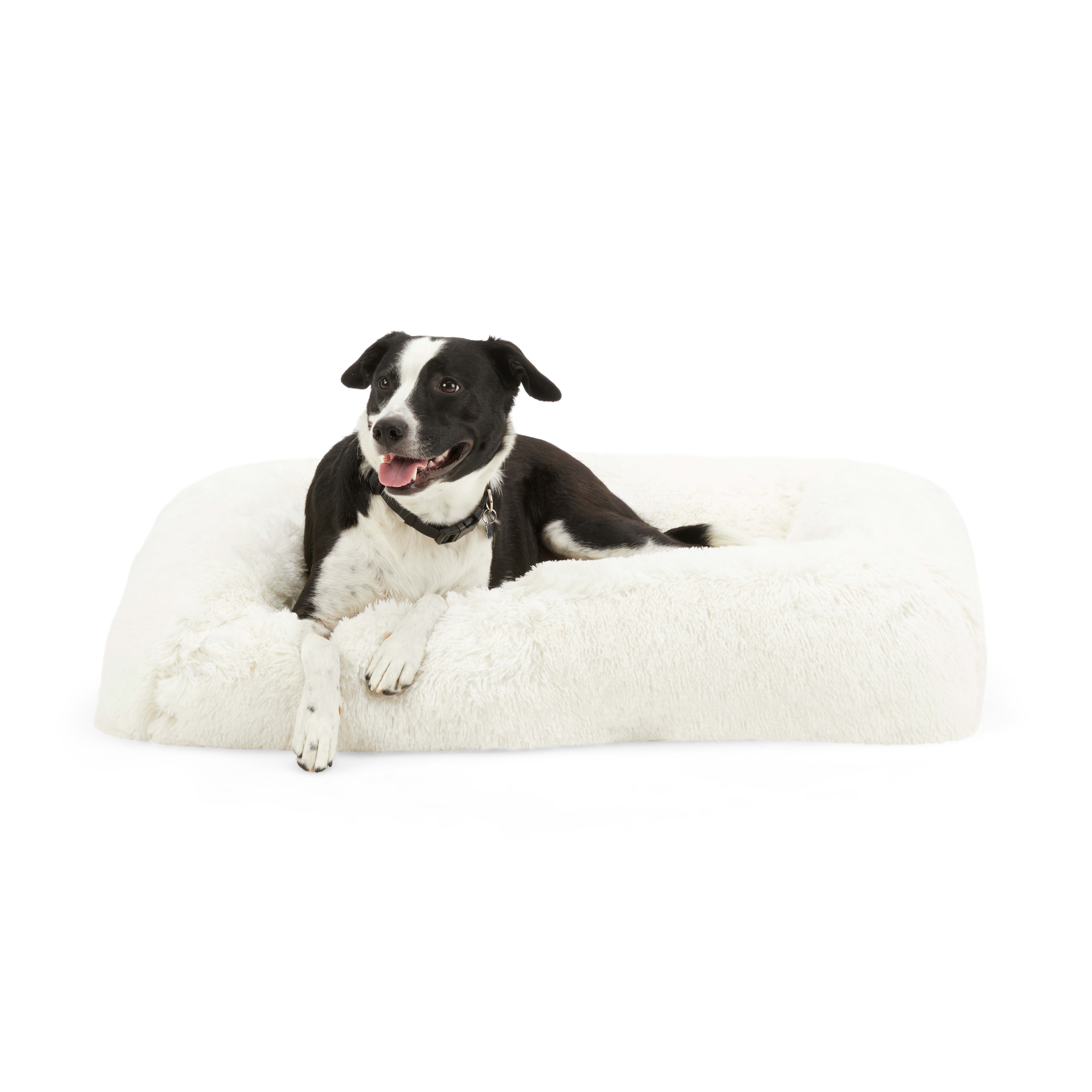 Chew proof dog bed petco sale