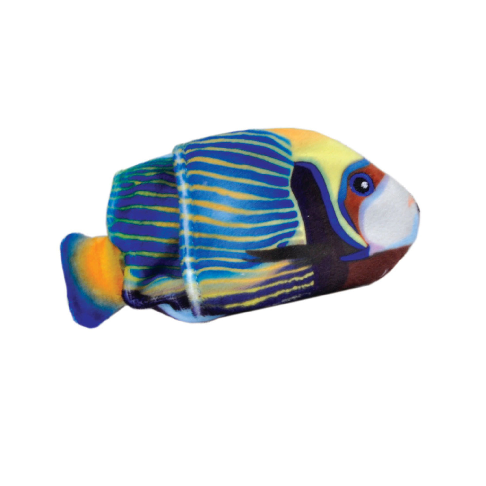 Coastal Pet Products Turbo Fish with Feathers - in Danbury, CT