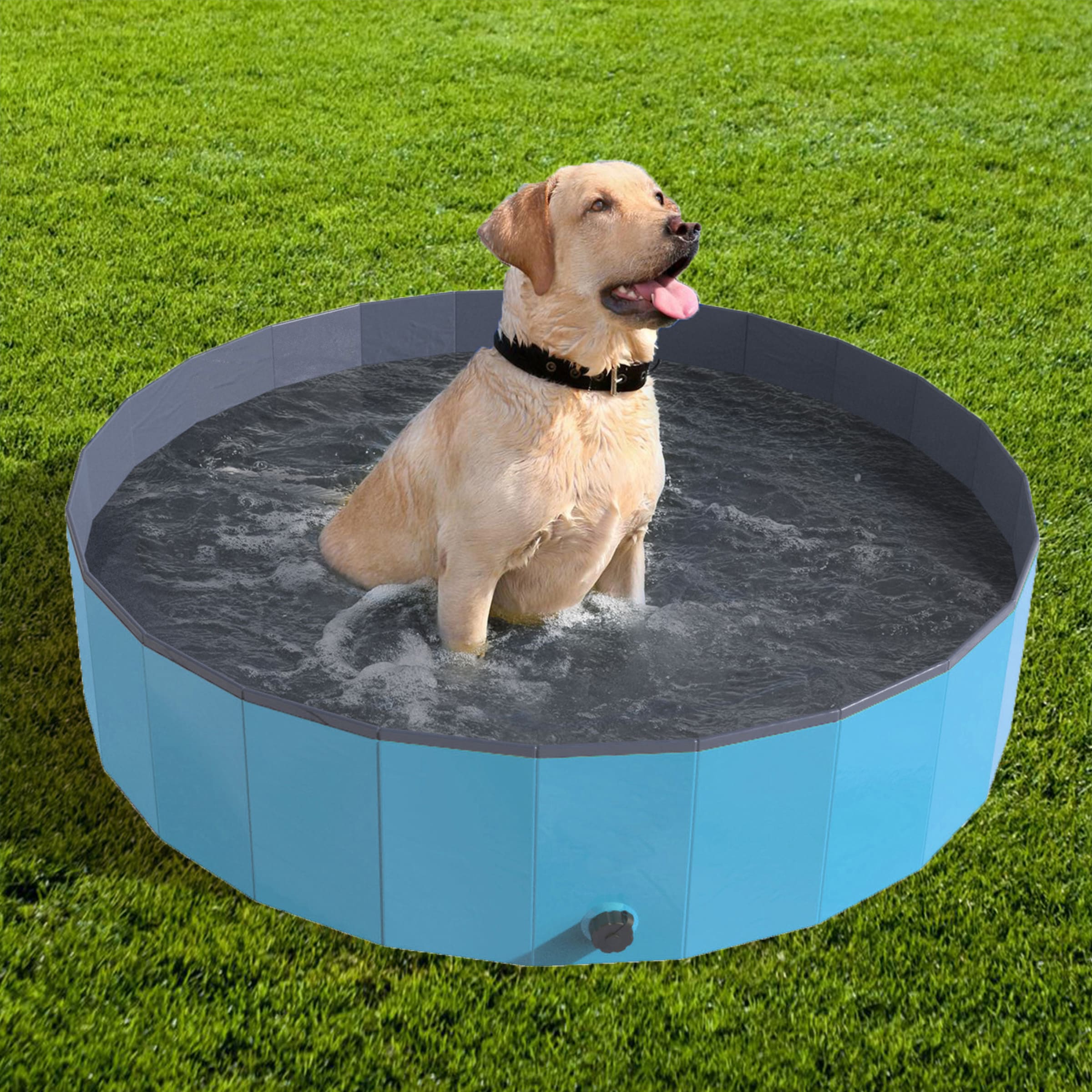 Pet Pal Portable & Foldable Dog Pool Bath Tub