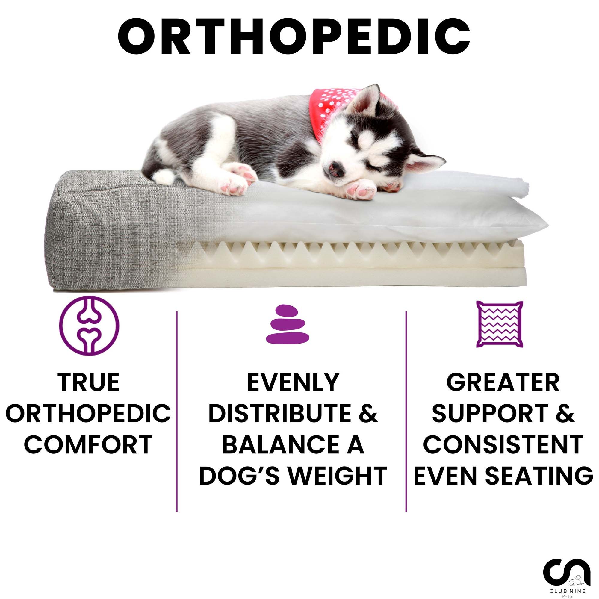  Club Nine Pets Unisex Metro Orthopedic Dog Bed