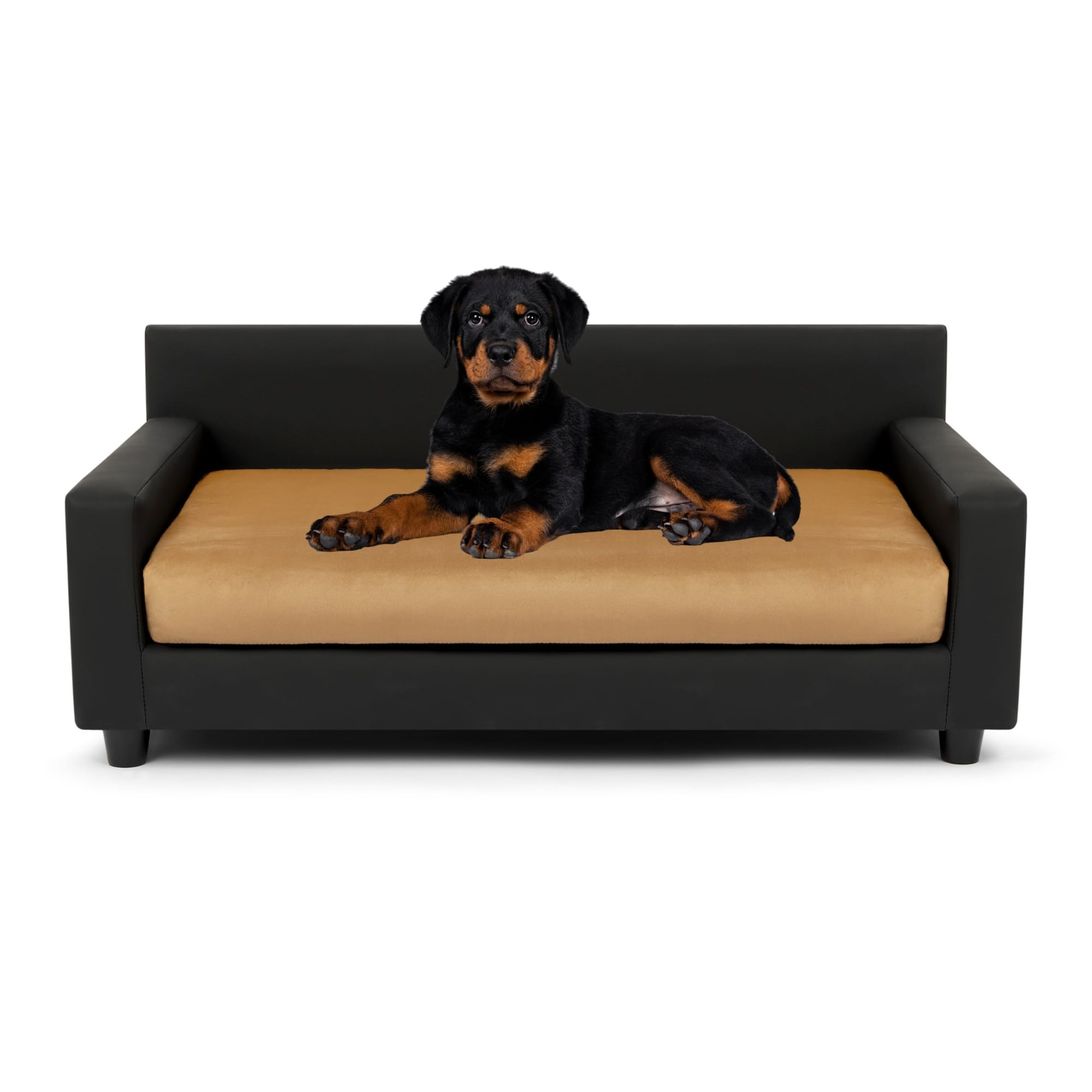 Club Nine Pets Tan Metro Orthopedic Dog Bed, 40" L X 24" W Petco