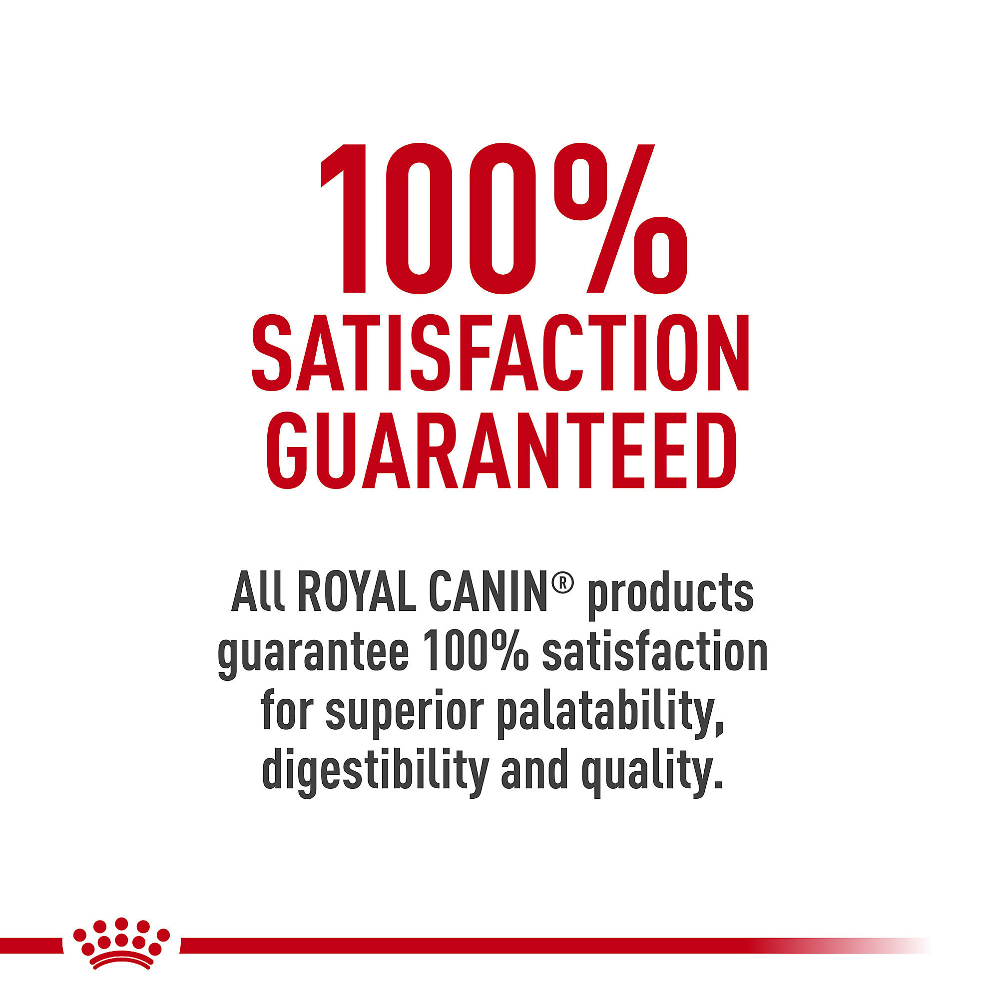 ROYAL CANIN - Conserve Chat Âgé 12+ Pâté - Paddock Animal