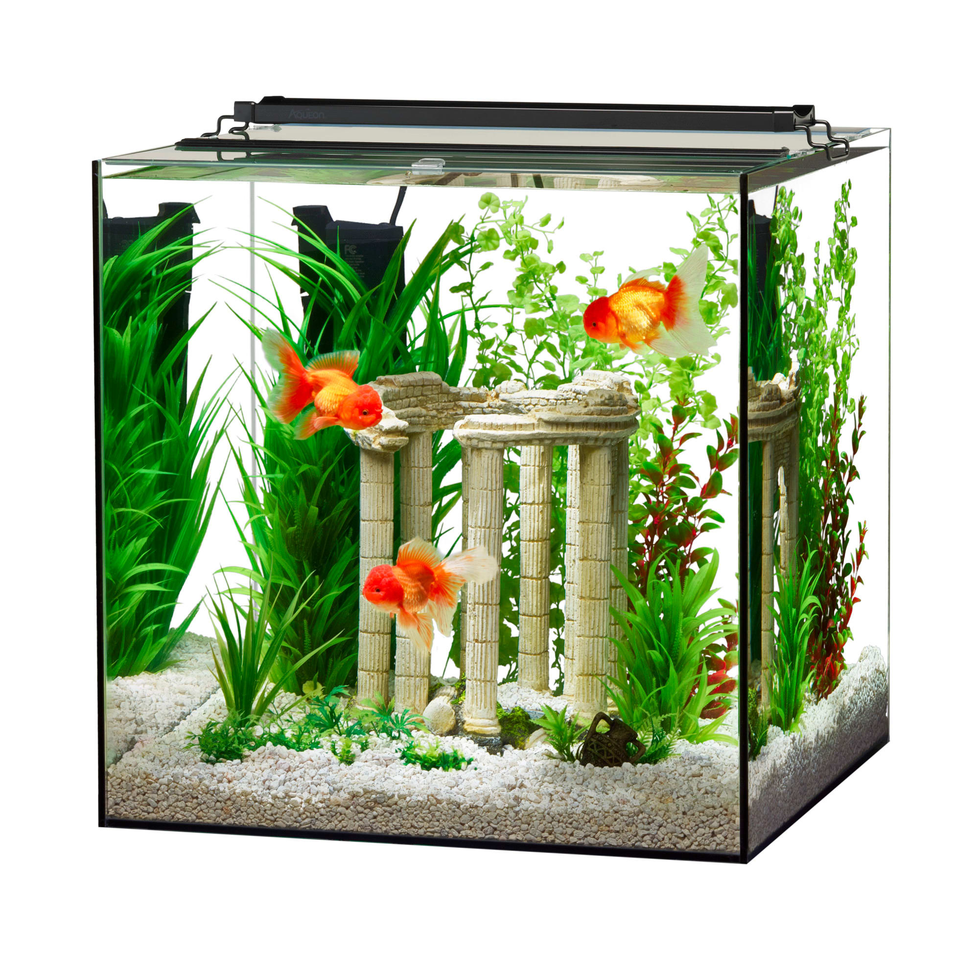 Petco rimless cheap tank