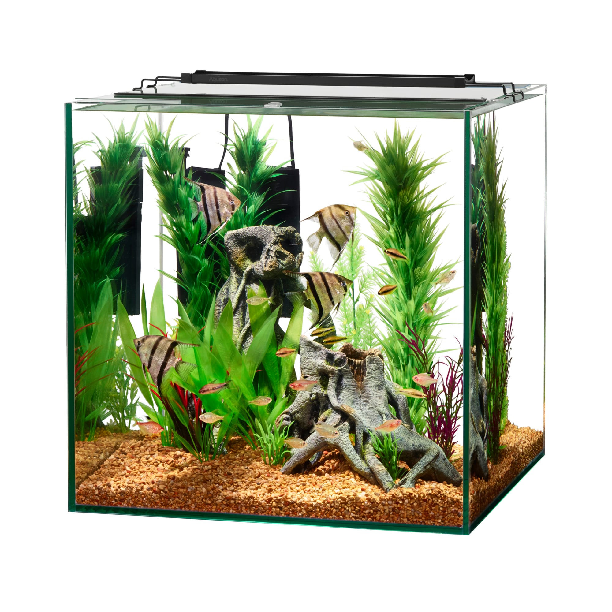 Petco 5.5 hot sale gallon tank