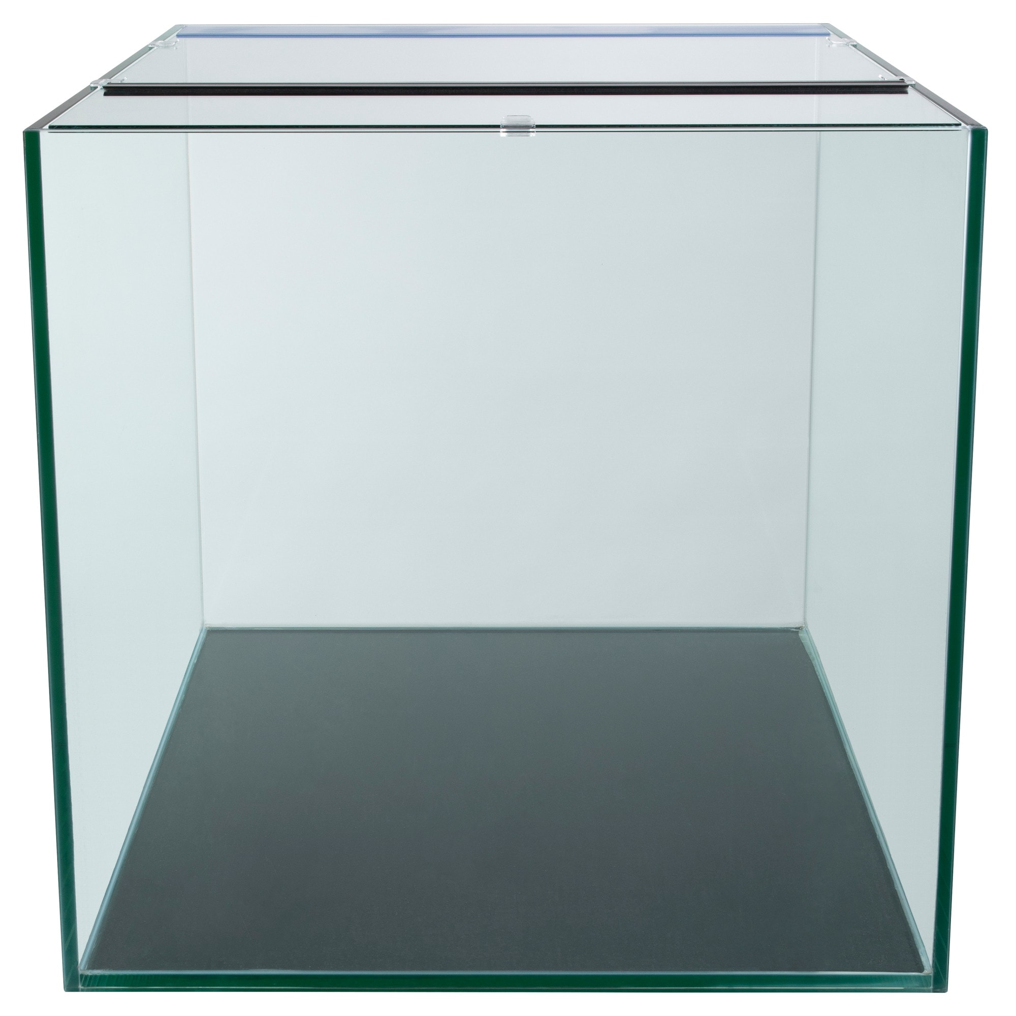 Aqueon best sale frameless cube