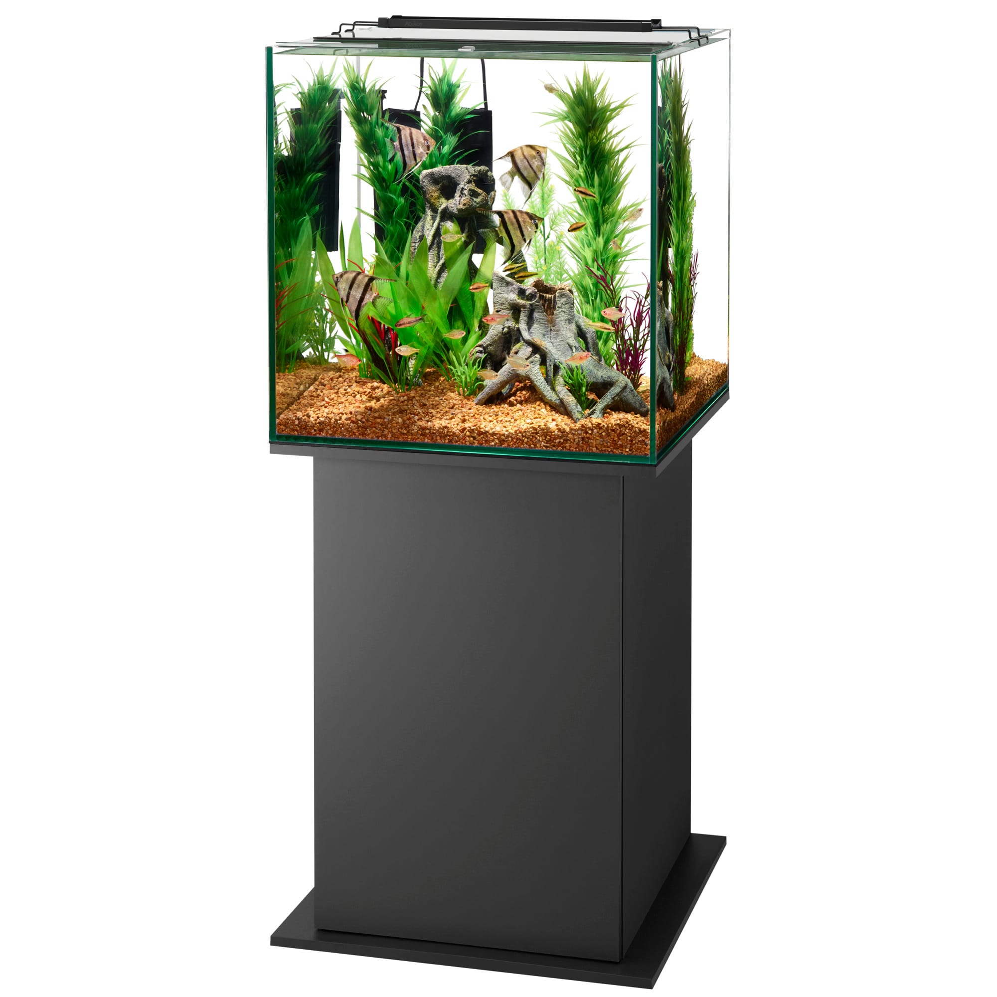 Petco shop rimless tank