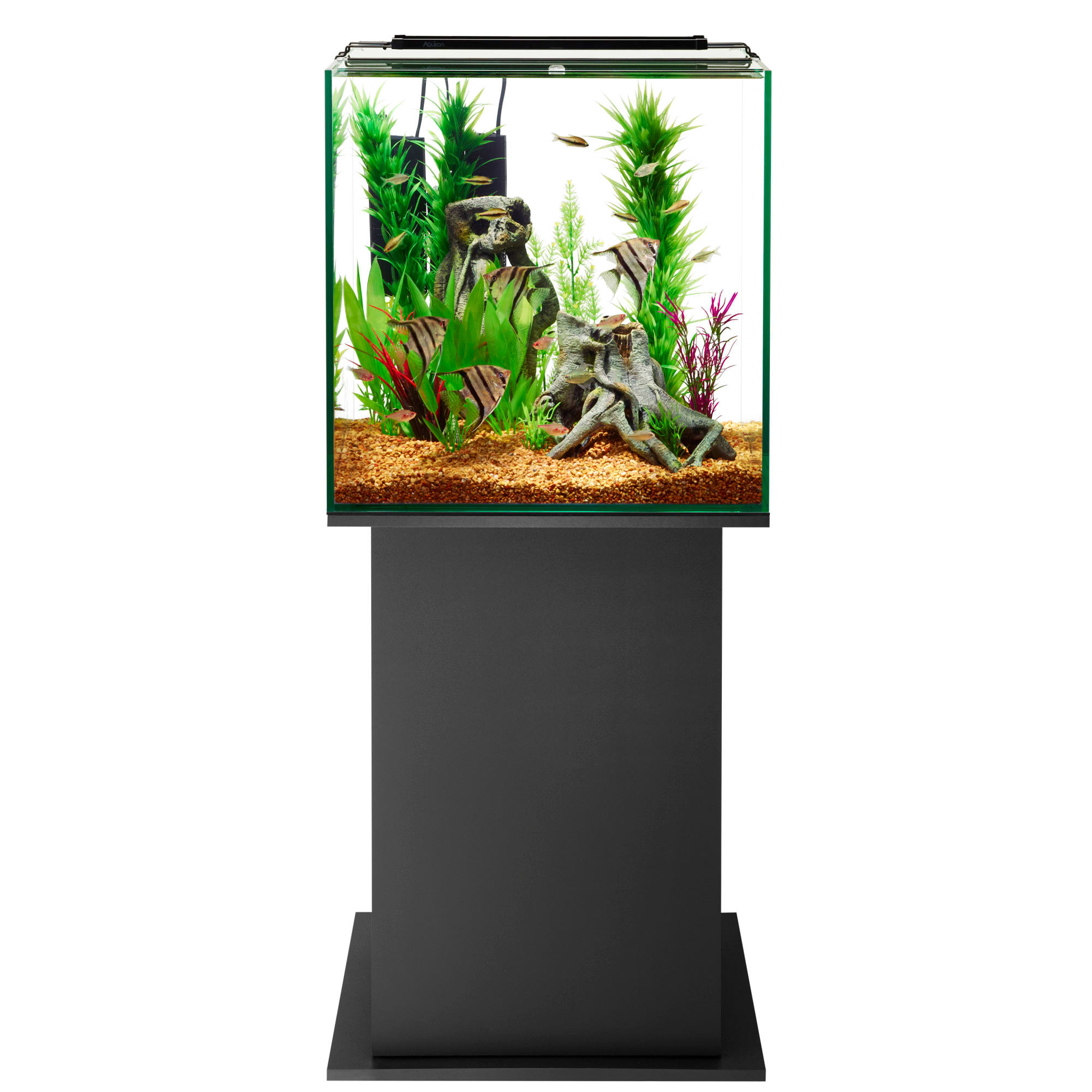 Aqueon 21 gallon outlet frameless aquarium