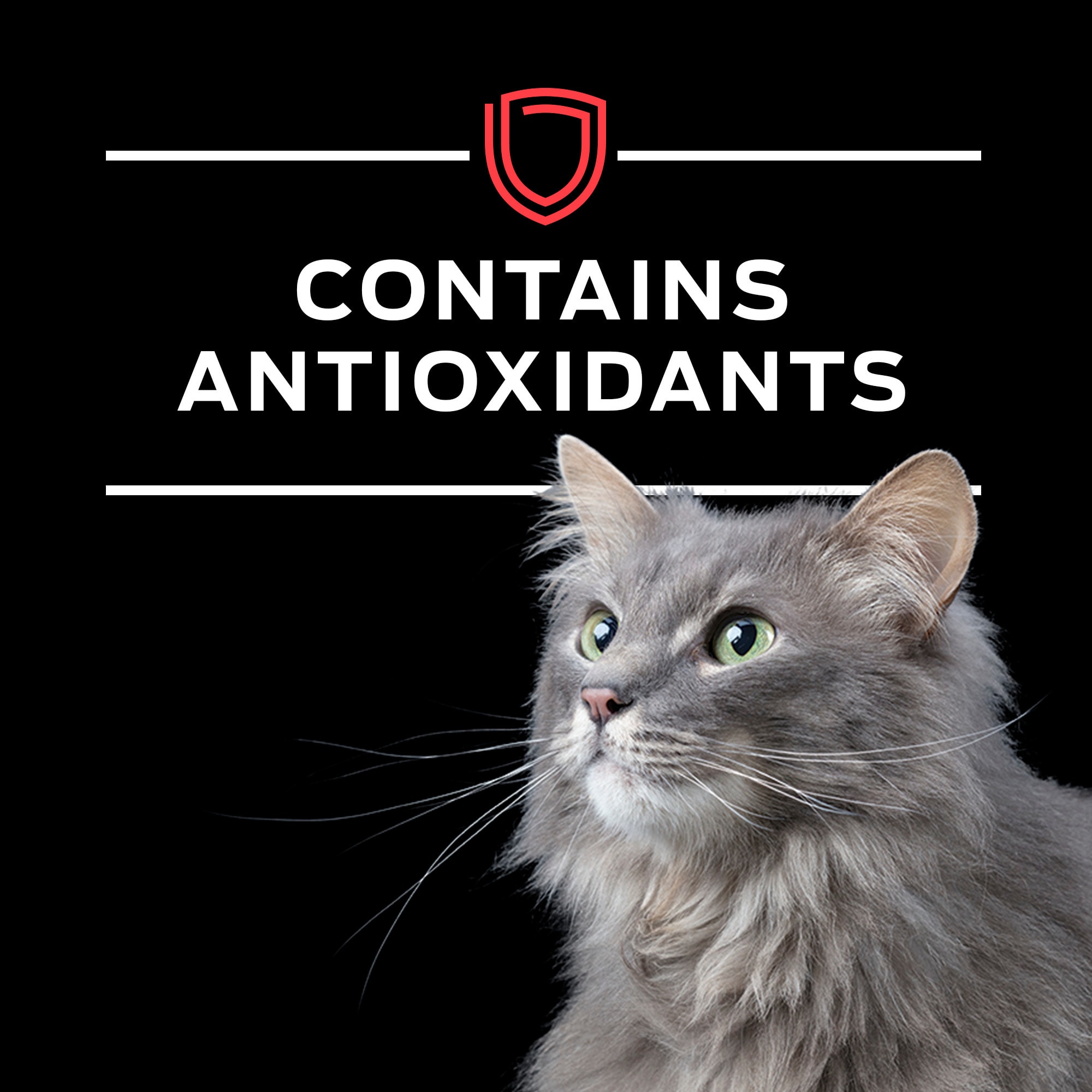 Purina Pro Plan Veterinary Diets DM Dietetic Management Feline