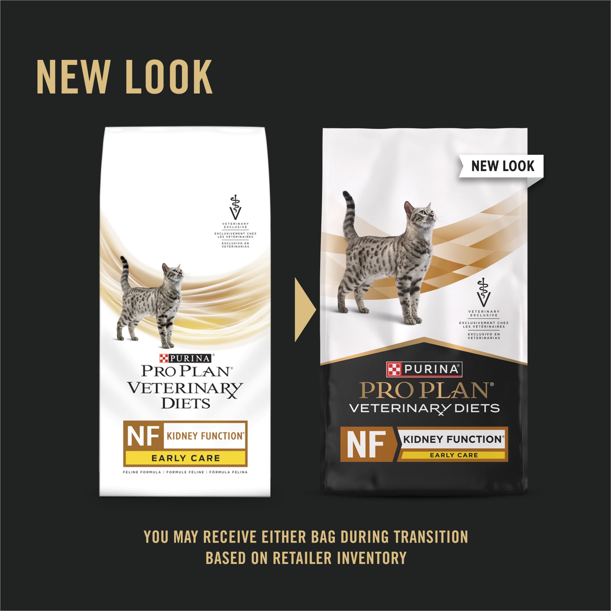 Petco kidney 2024 cat food