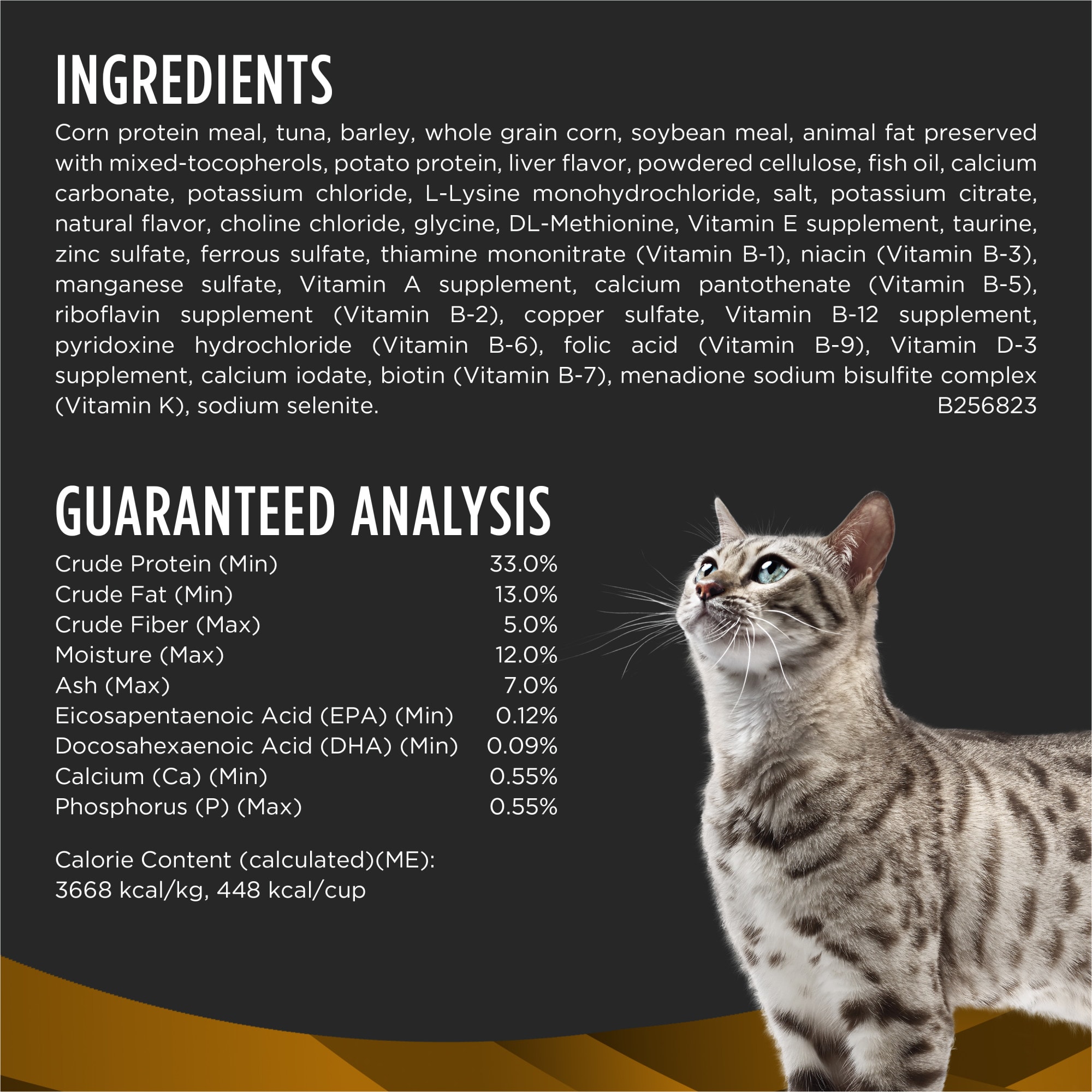 Purina Pro Plan Veterinary Diets NF Kidney Function Early Care Feline  Formula Adult Dry Cat Food, 8 lbs. | Petco