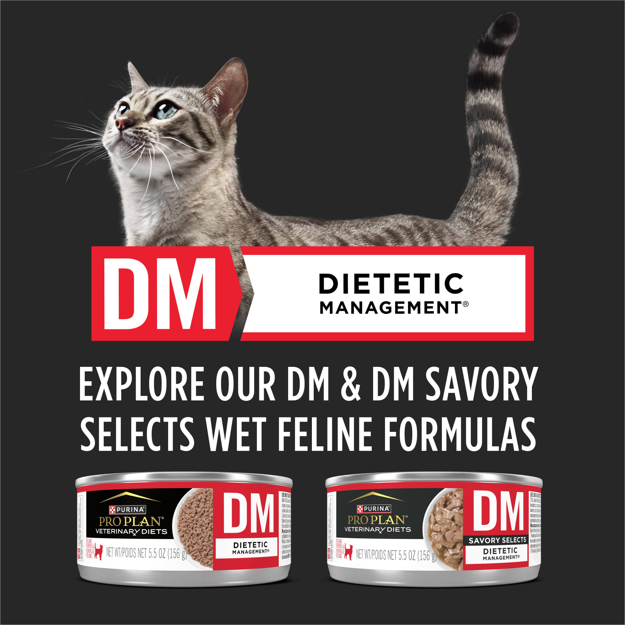 Dm savory outlet selects cat food