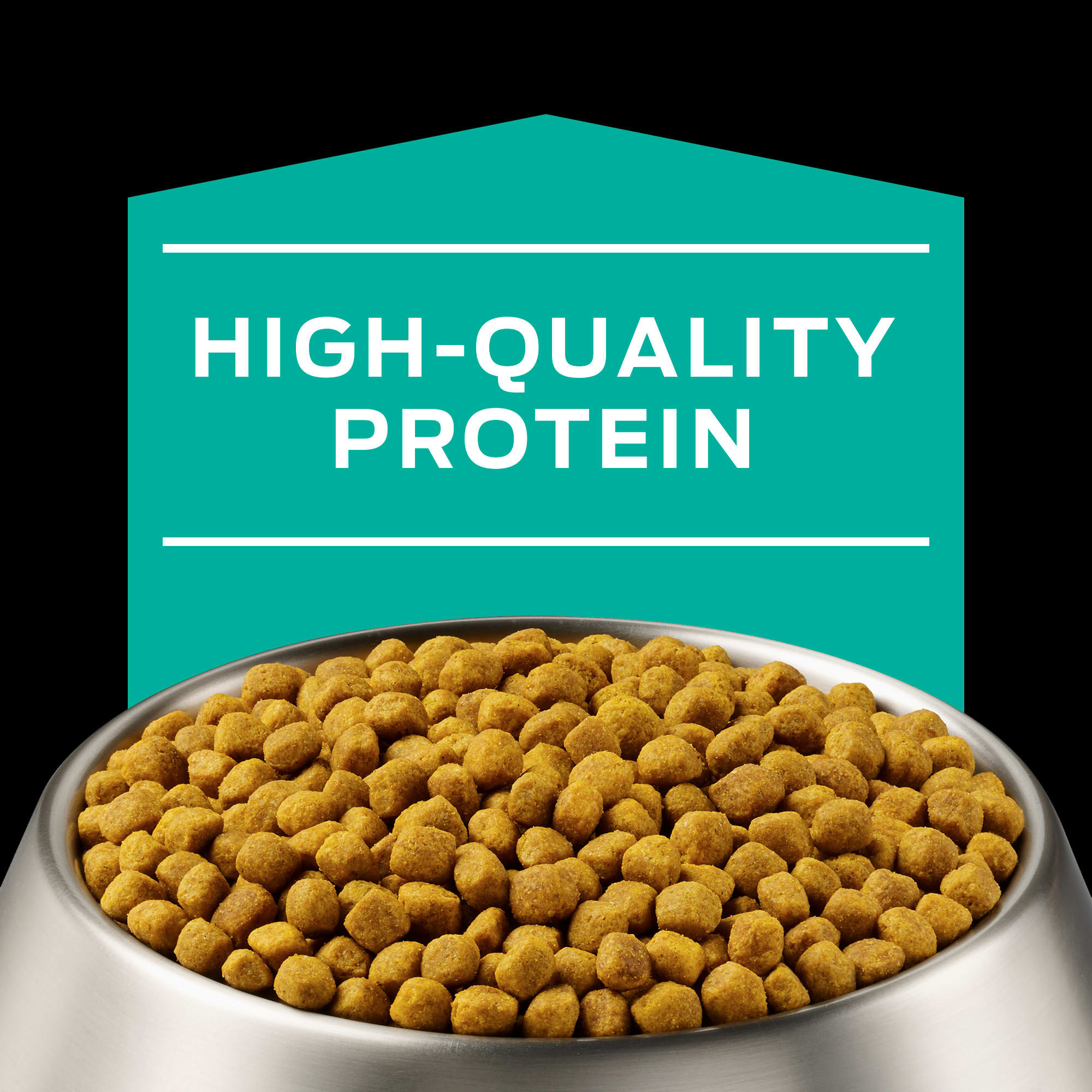 Purina Pro Plan Veterinary Diets EN Gastroenteric Canine Formula