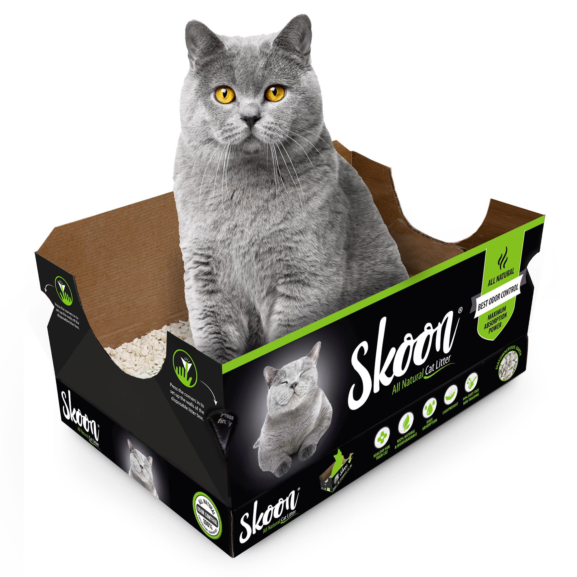 Skoon AllNatural Disposable Cat Litter Box, 4 lbs. Petco