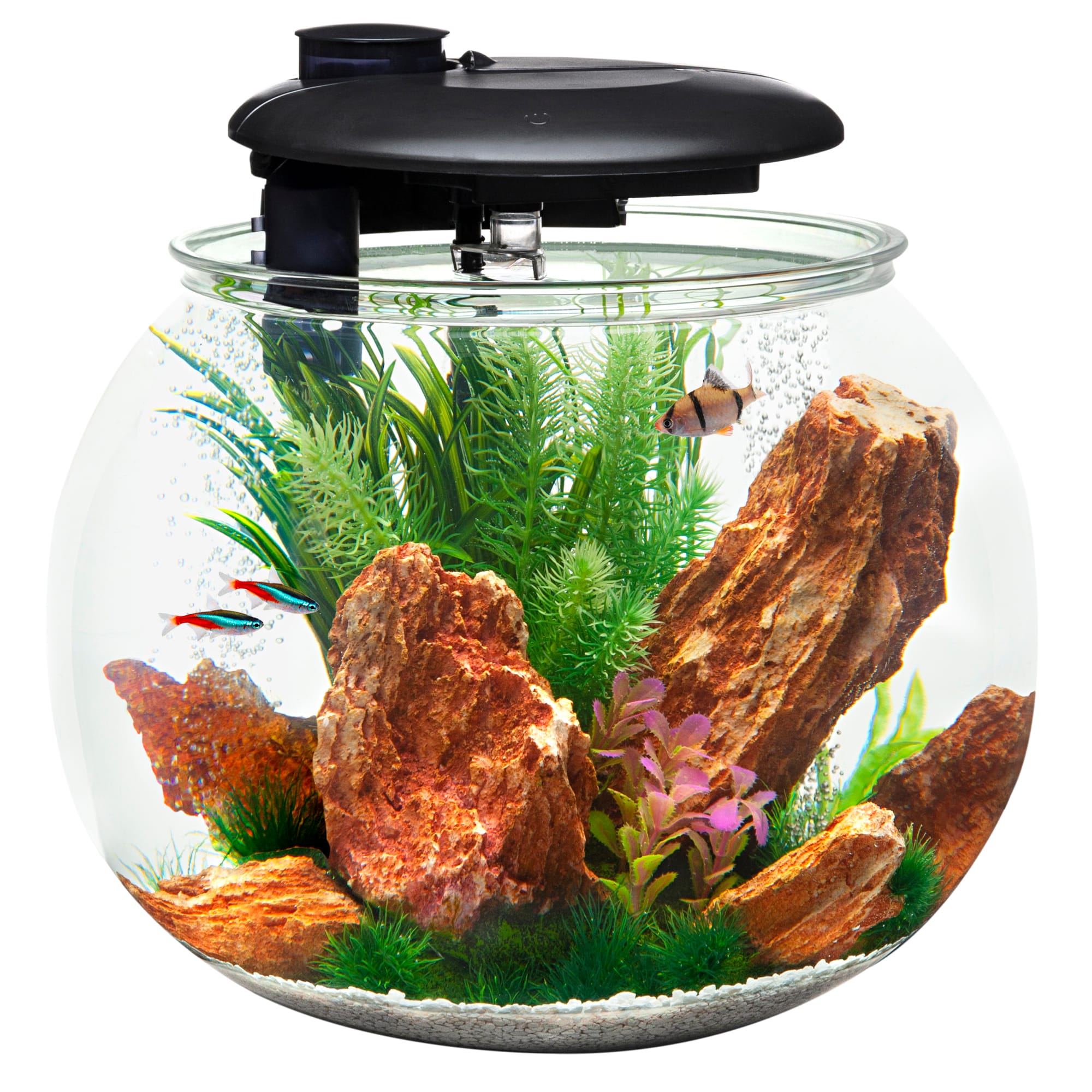 Penn Plax 10 Gallons 360 Aquasphere Tank, 14.4" H