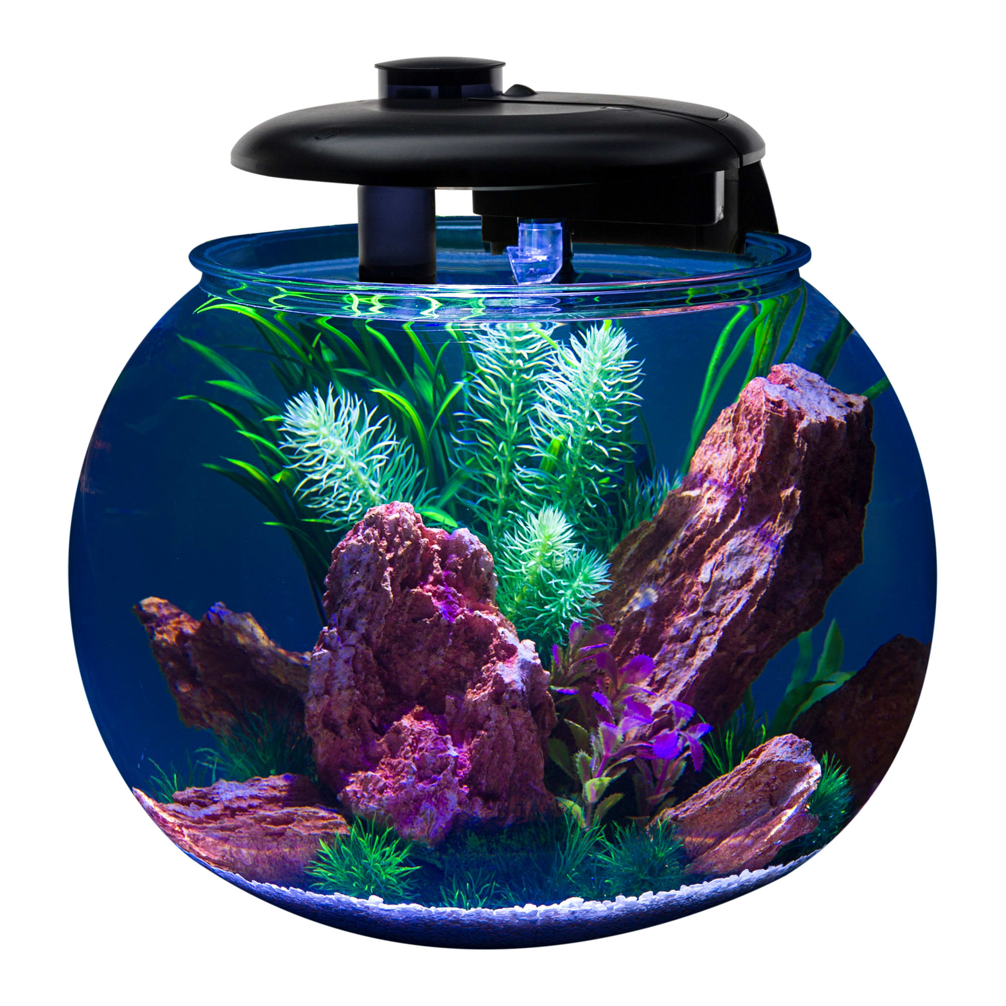 Petco 3 gallon fashion tank