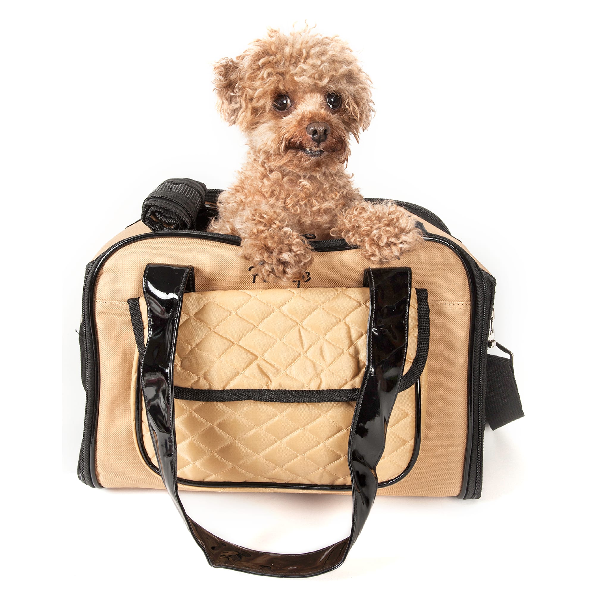 Petco dog clearance carrier airline