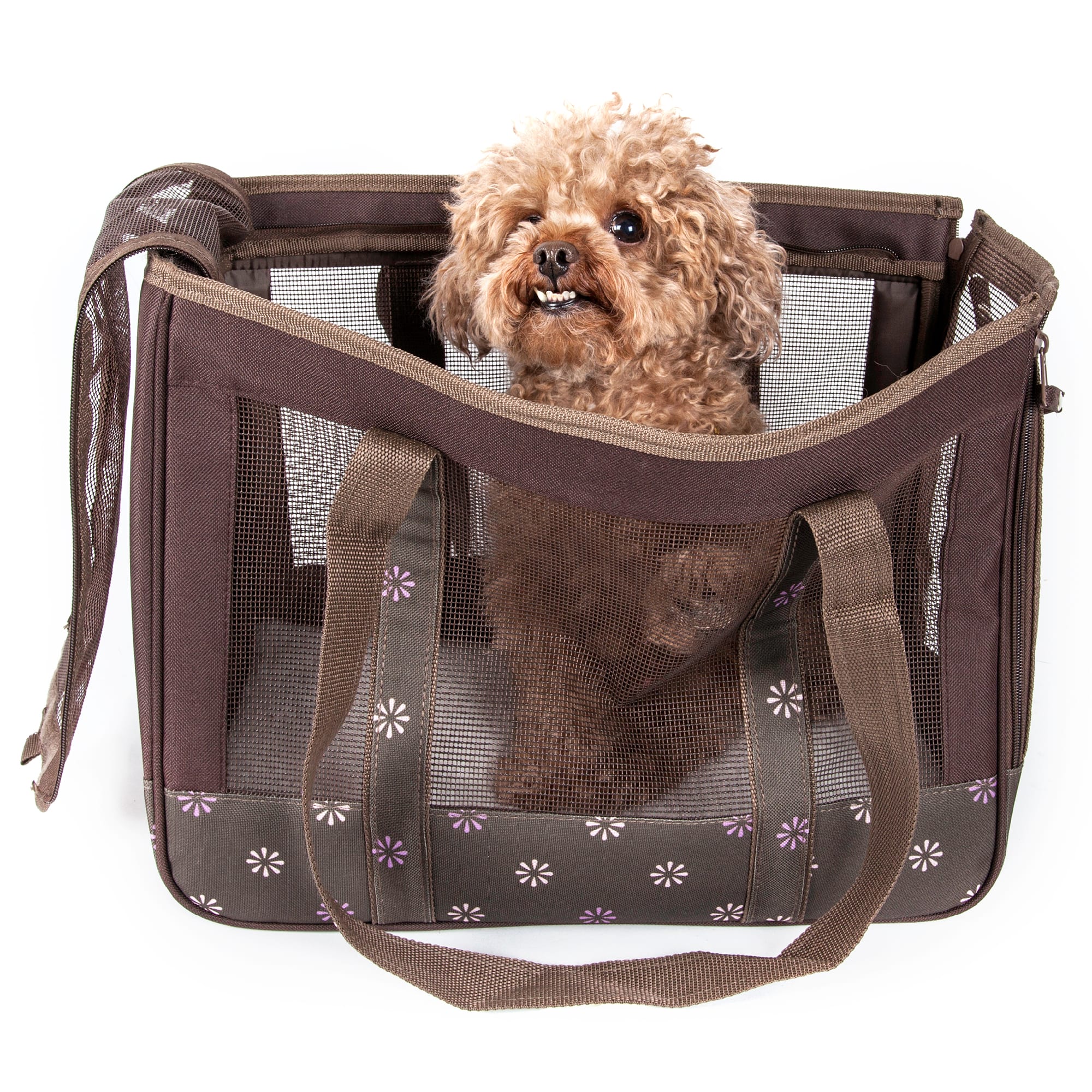 Pet Life ® 'Bark Avenue' Cylindrical Airline Approved Fashion Designer Posh Pet  Dog Carrier 