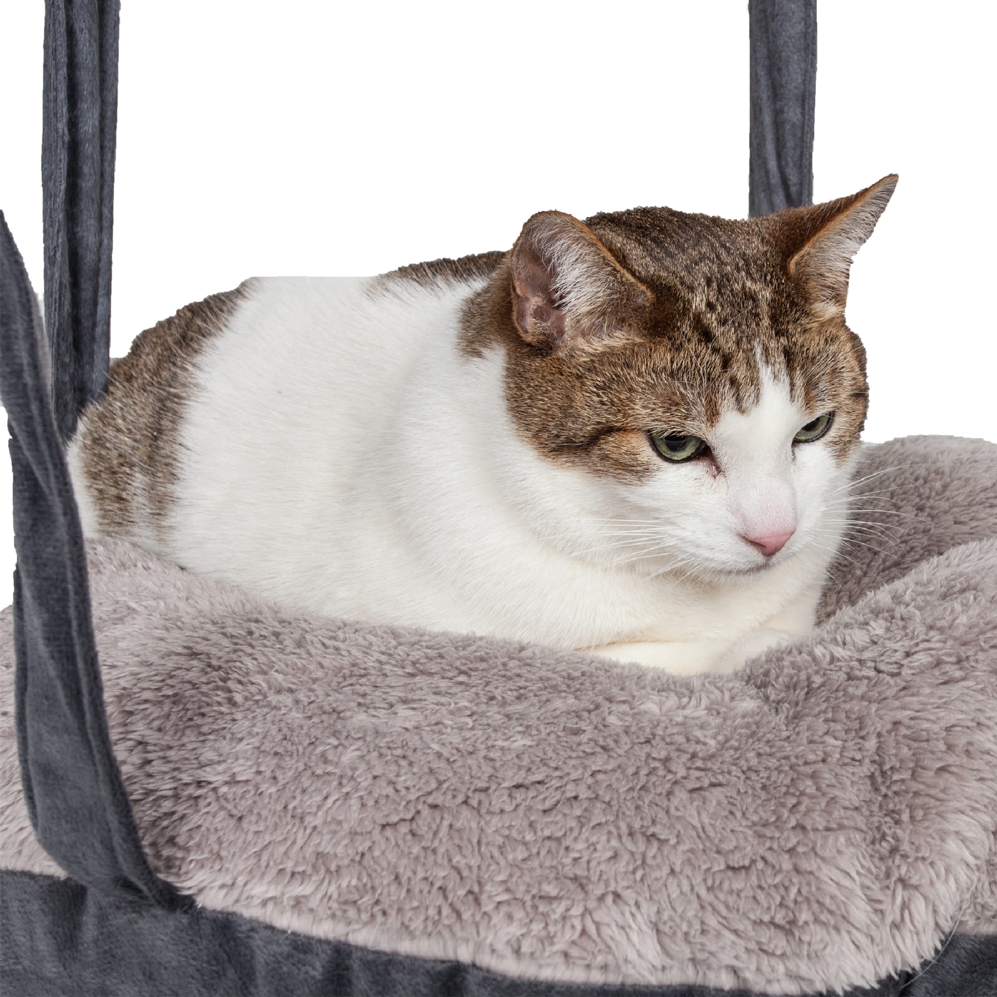 Petco cat hammock hotsell