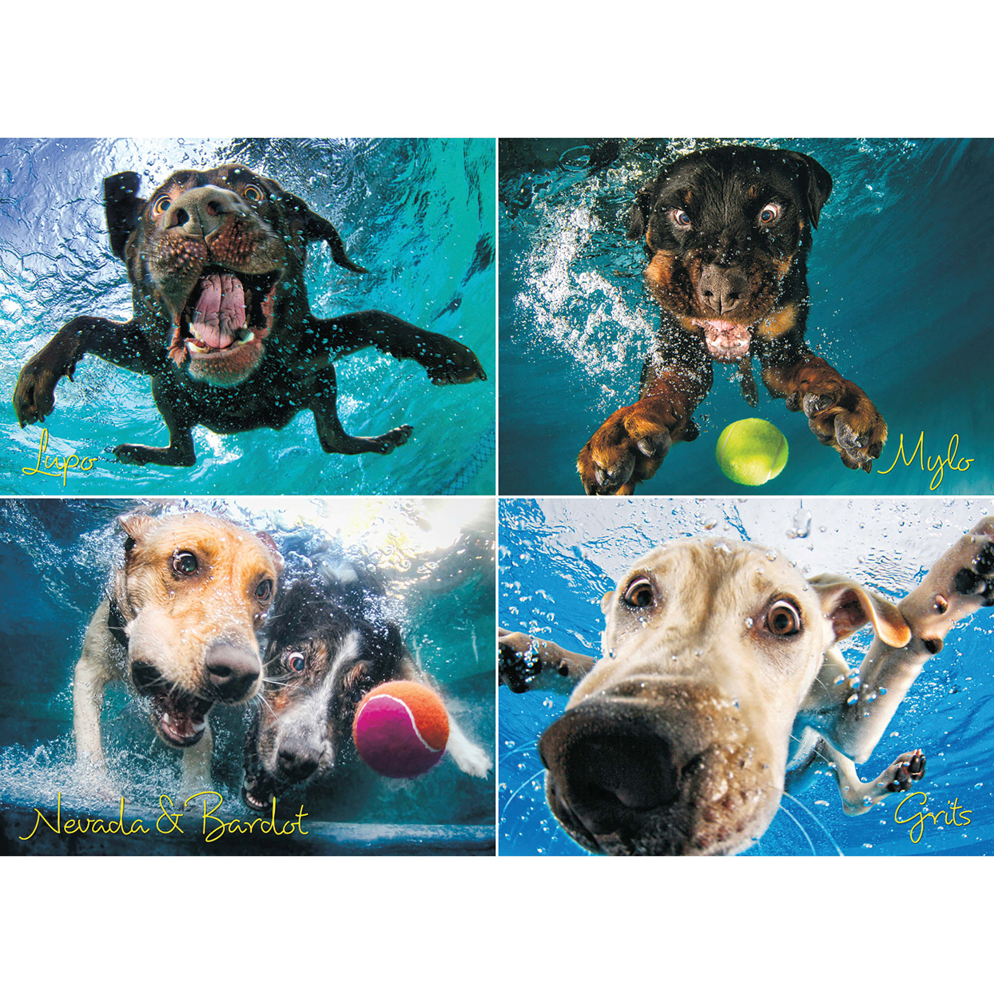 Willow Creek Press Underwater Dogs: Splash 1000-Piece Puzzle 