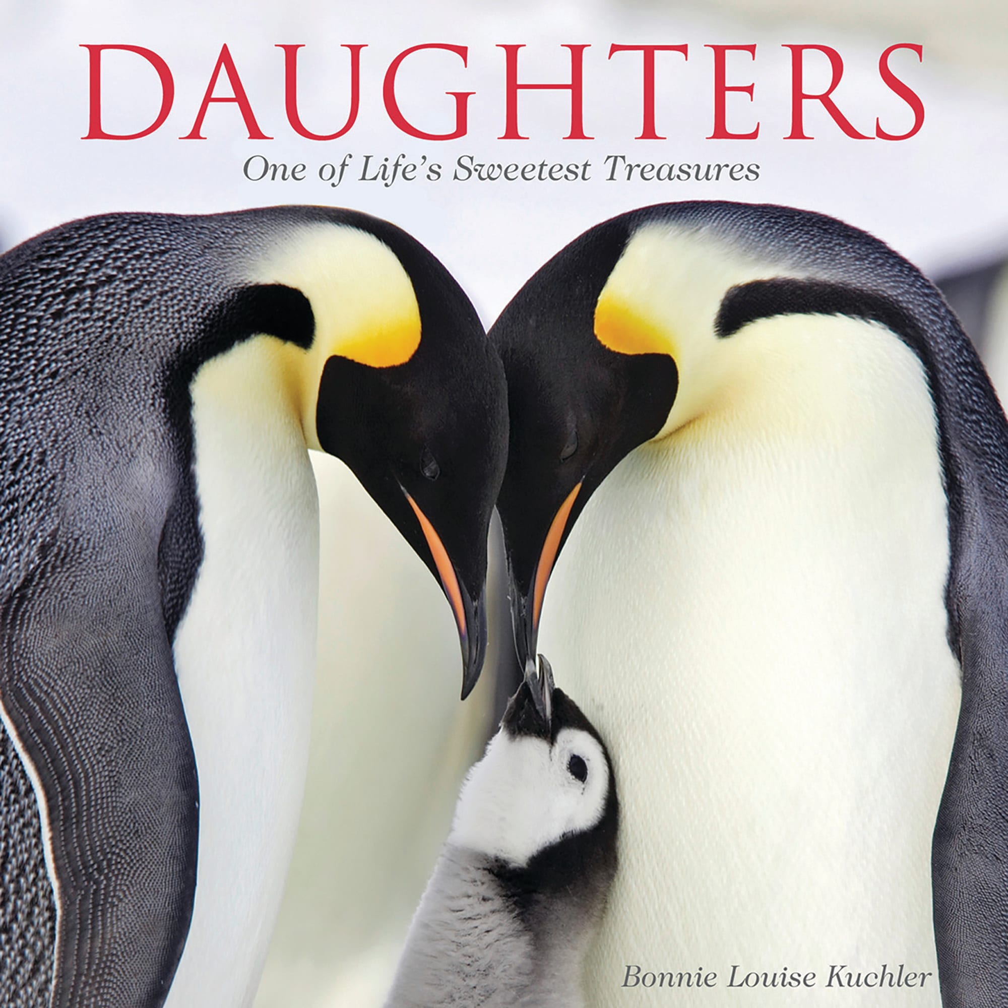 ISBN 9781623439798 product image for Willow Creek Press Daughters Book | upcitemdb.com
