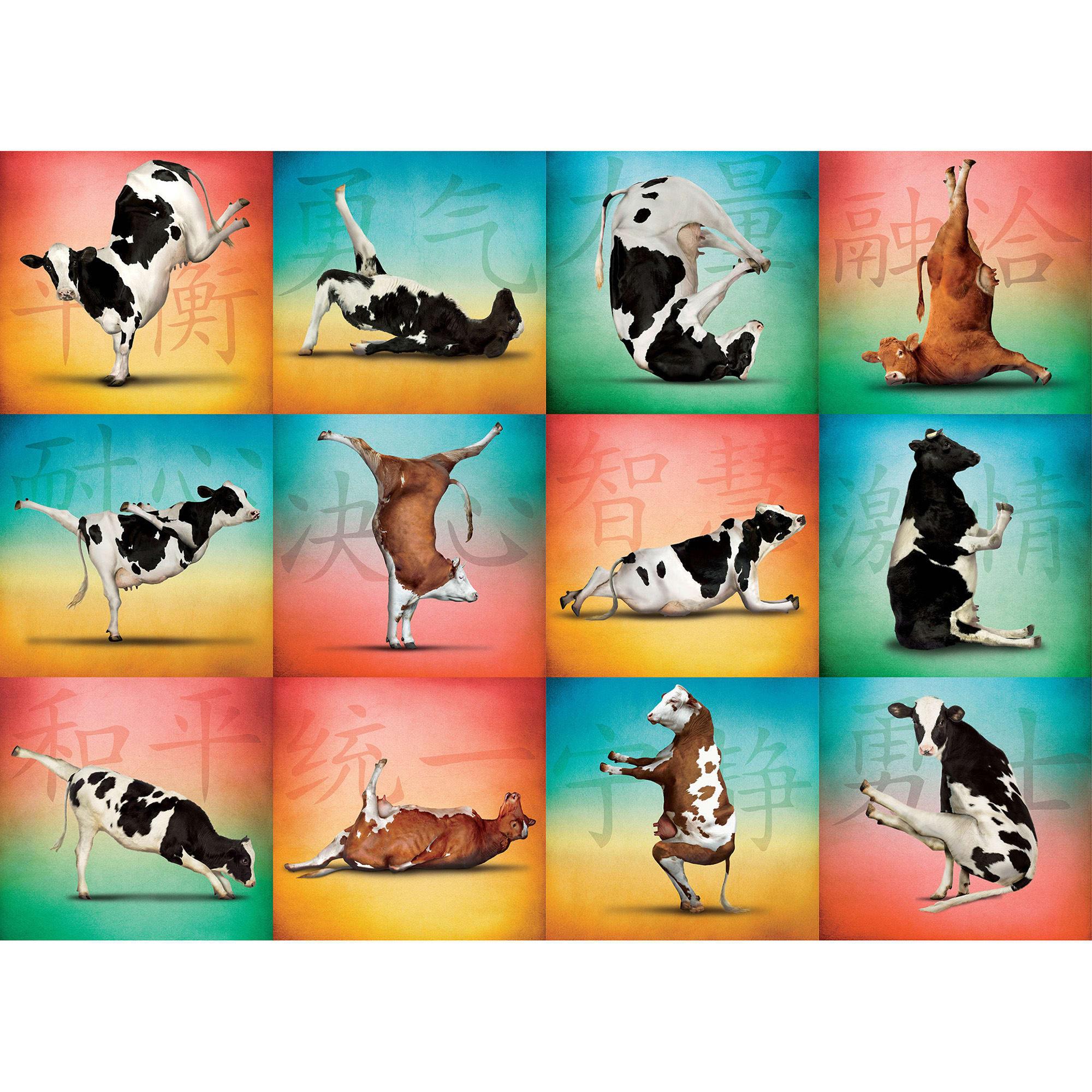 ISBN 9781623439637 product image for Willow Creek Press Cow Yoga 1000-Piece Puzzle | upcitemdb.com