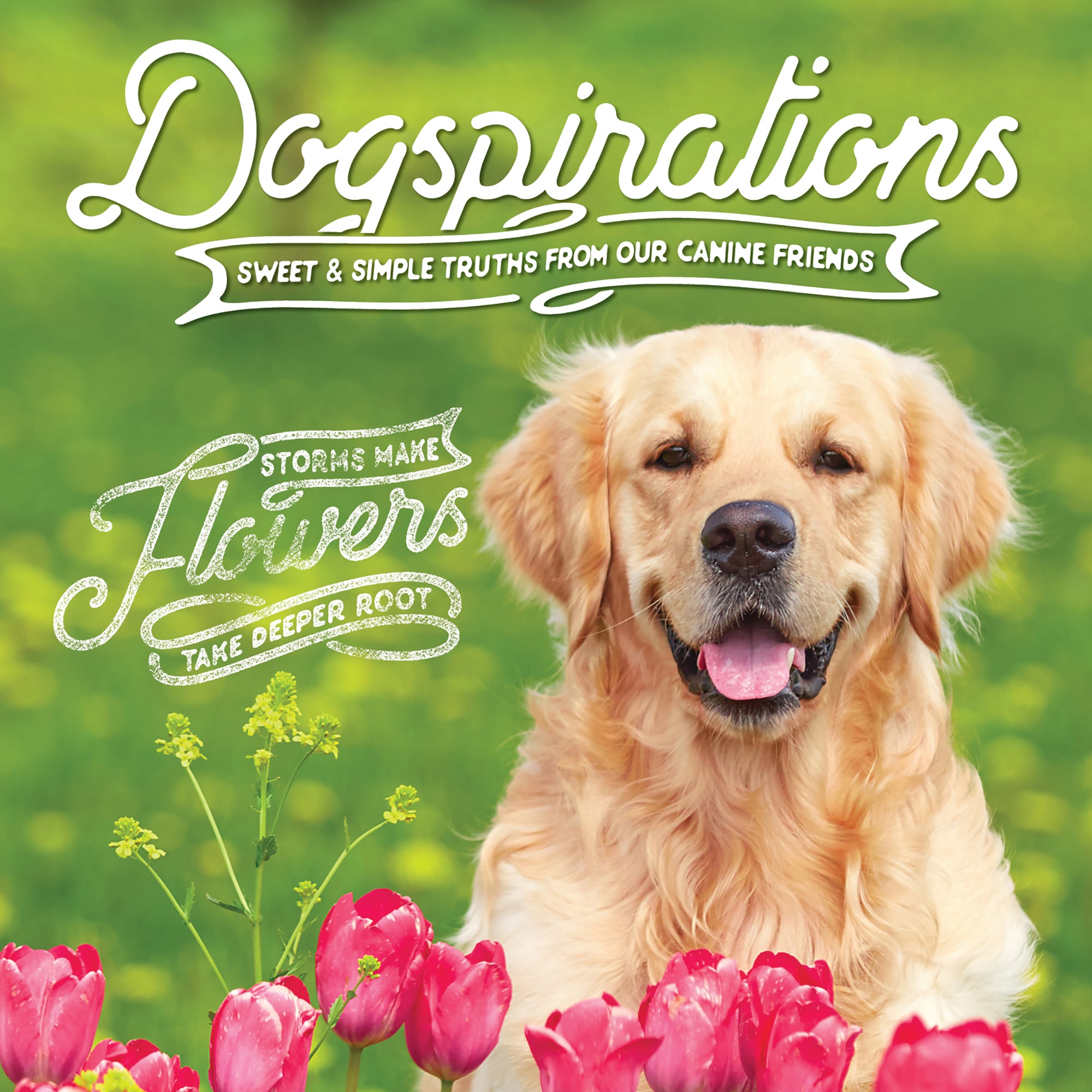 Willow Creek Press Dogspirations Book Petco