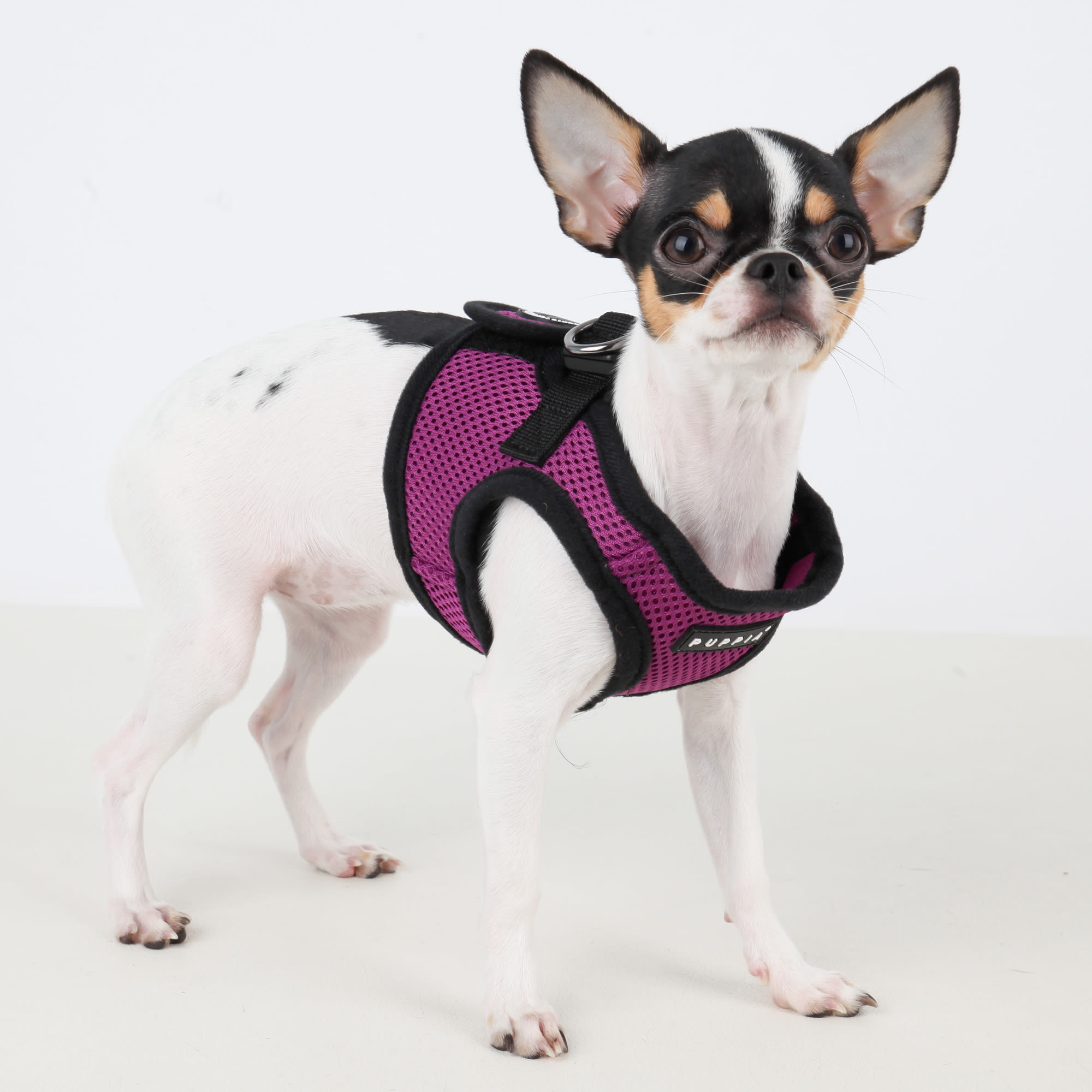 Pets First New Orleans Saints Puffer Small Dog Vest | Petco