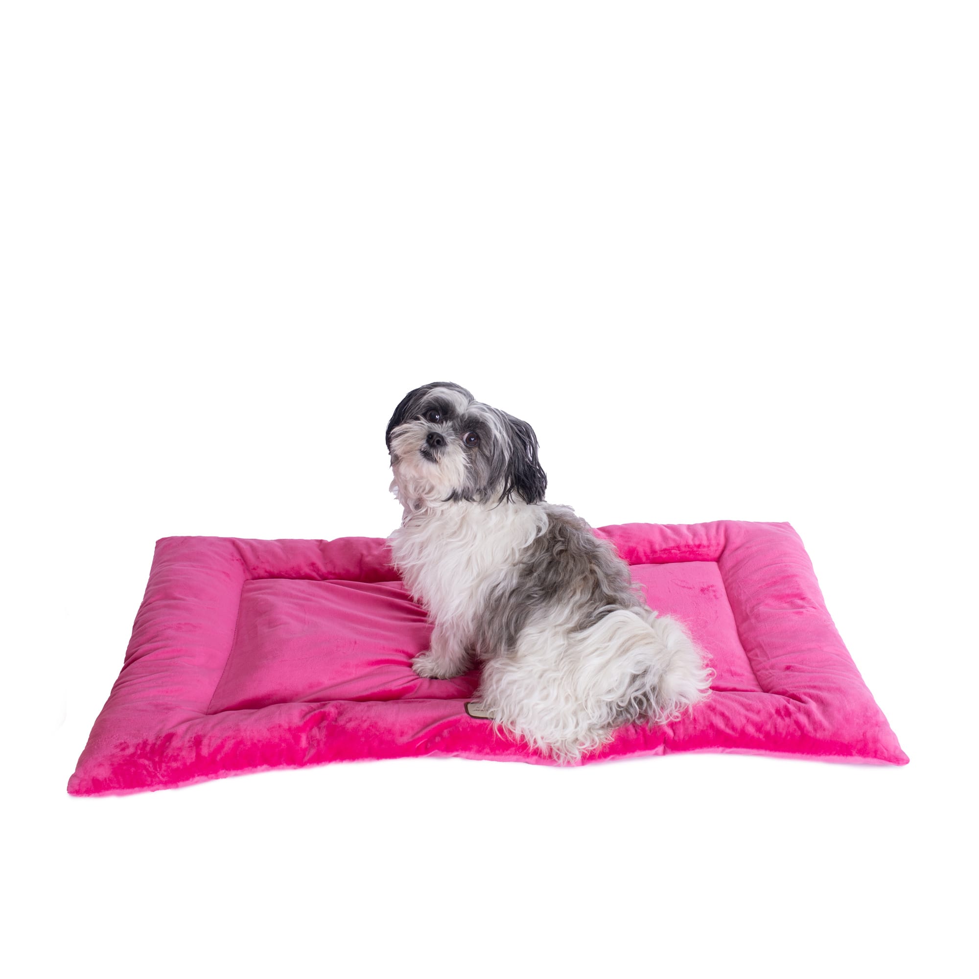 Armarkat Vibrant Pink Pet Crate, 35" L X 22" W X 2" H Petco