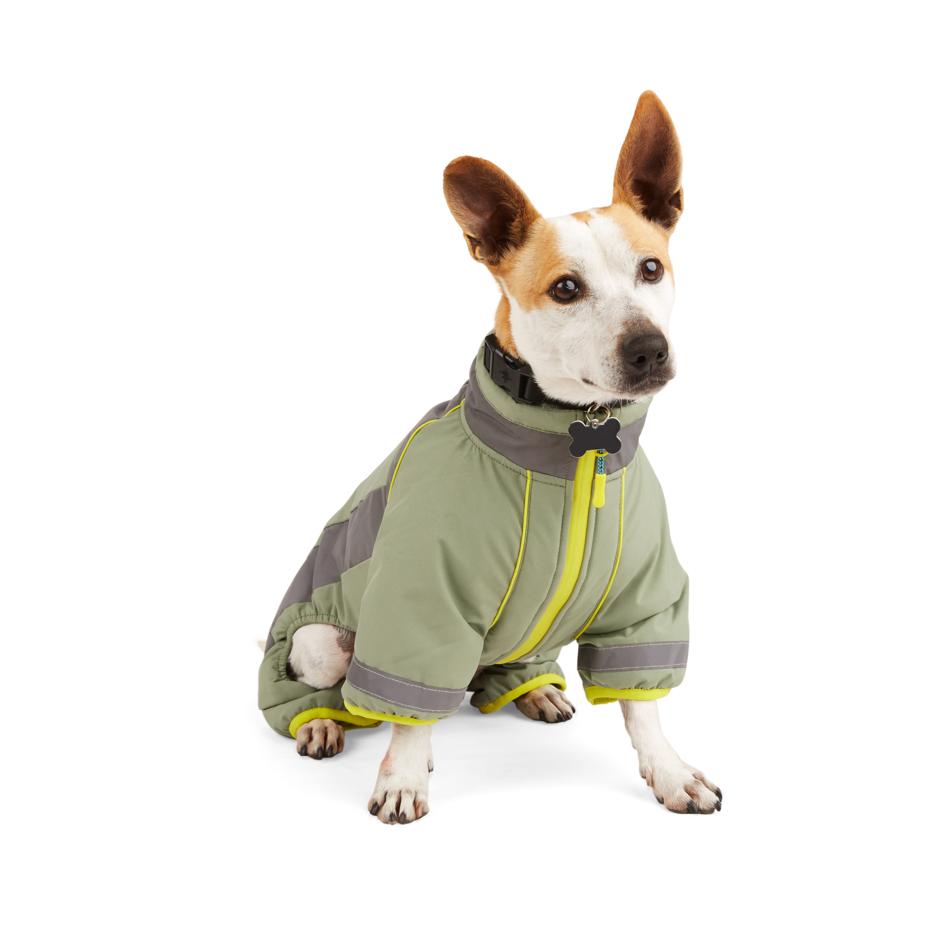 Dog snowsuit clearance with paw covers