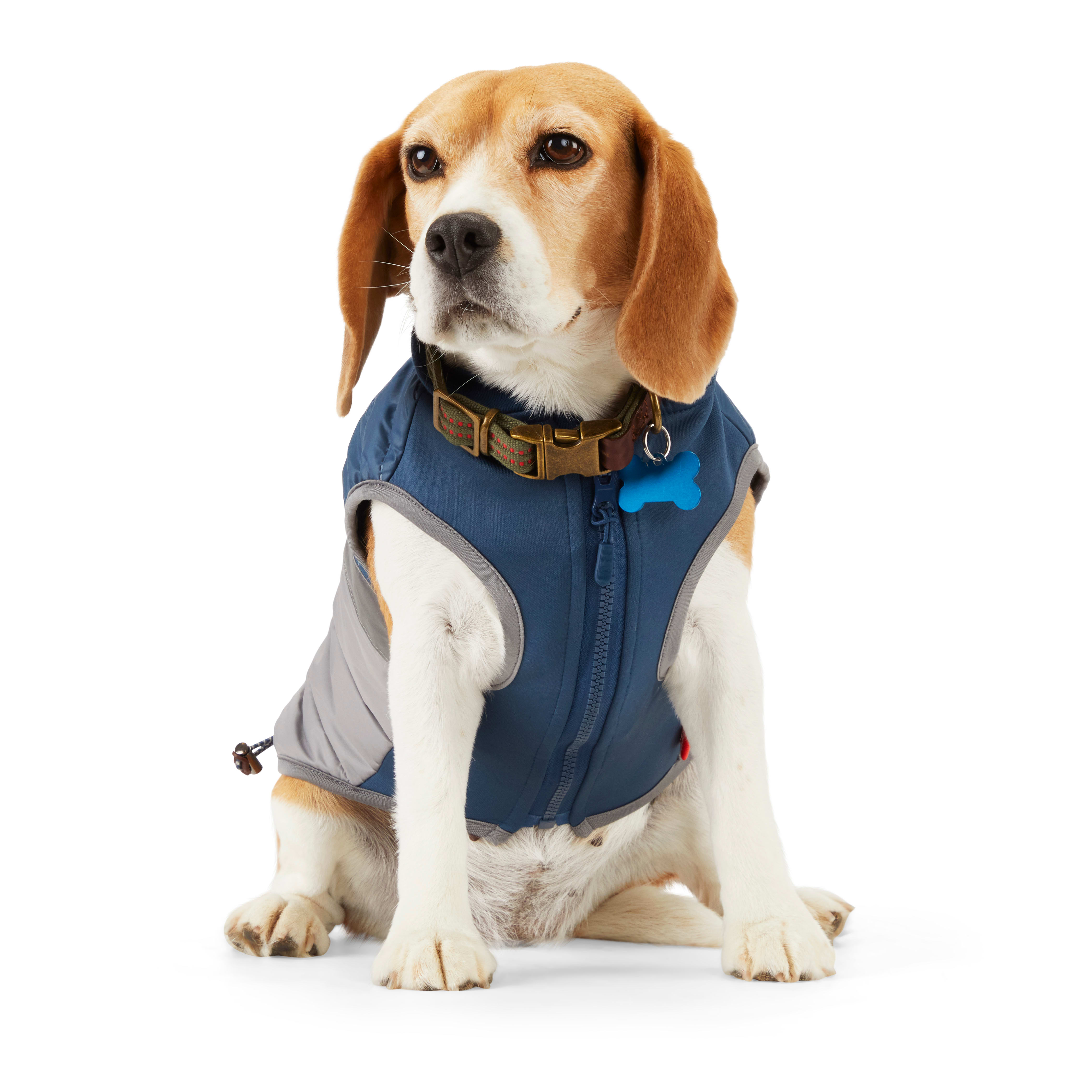 Reddy PrimaLoft Lightweight Insulation Grey Dog Puffer Jacket, X