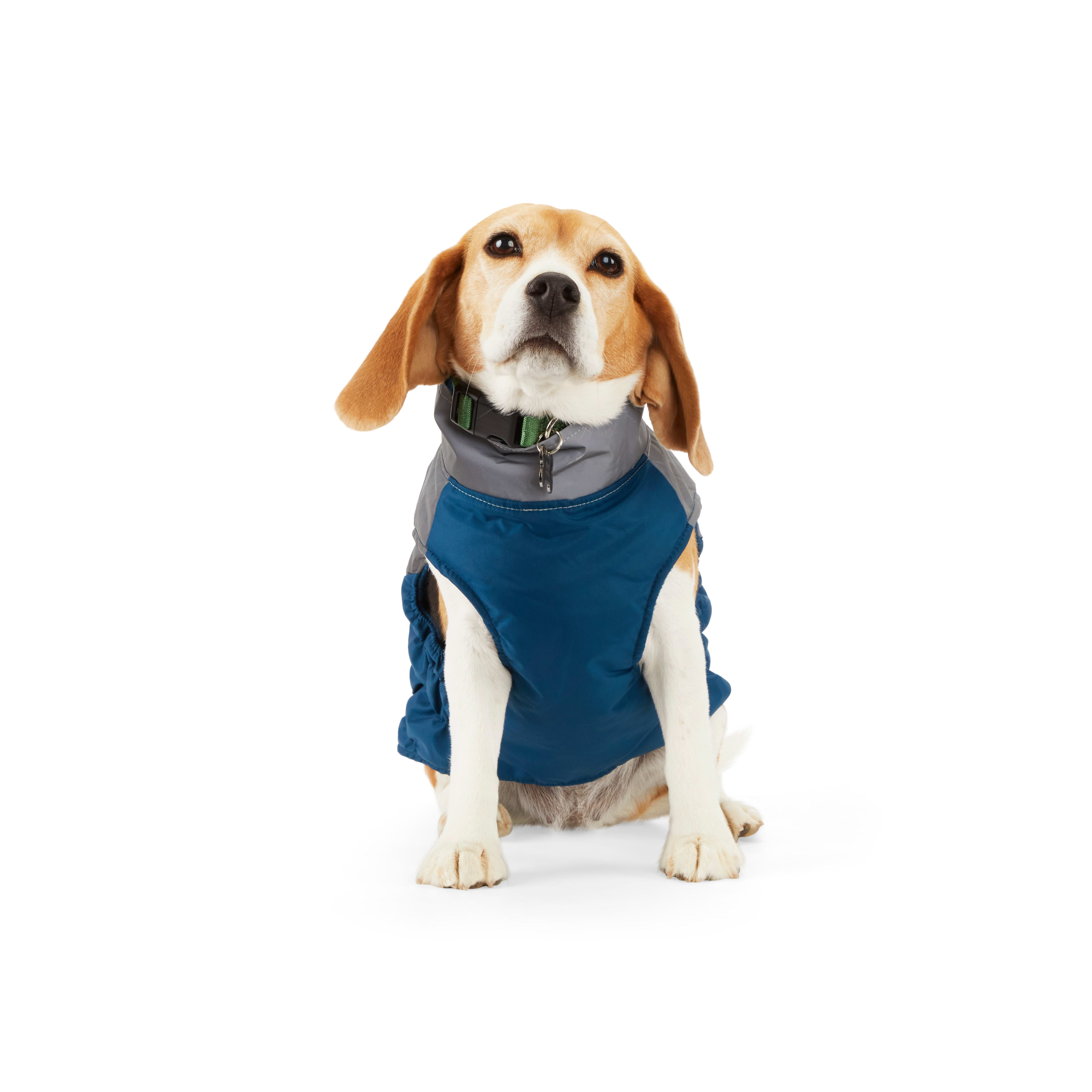 petco puppy clothes