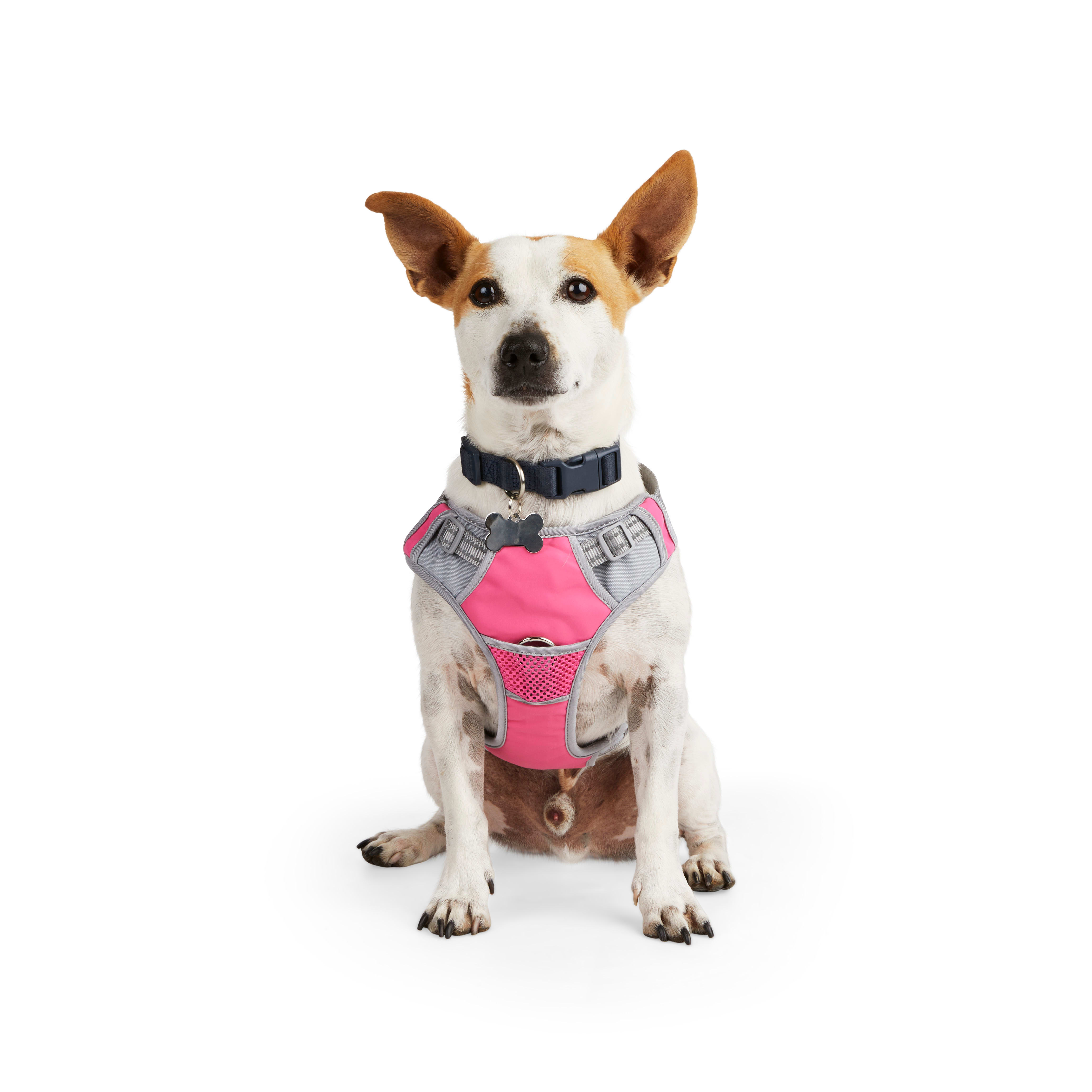 EveryYay Front Walking Reflective Dog Harness Pink Medium Petco