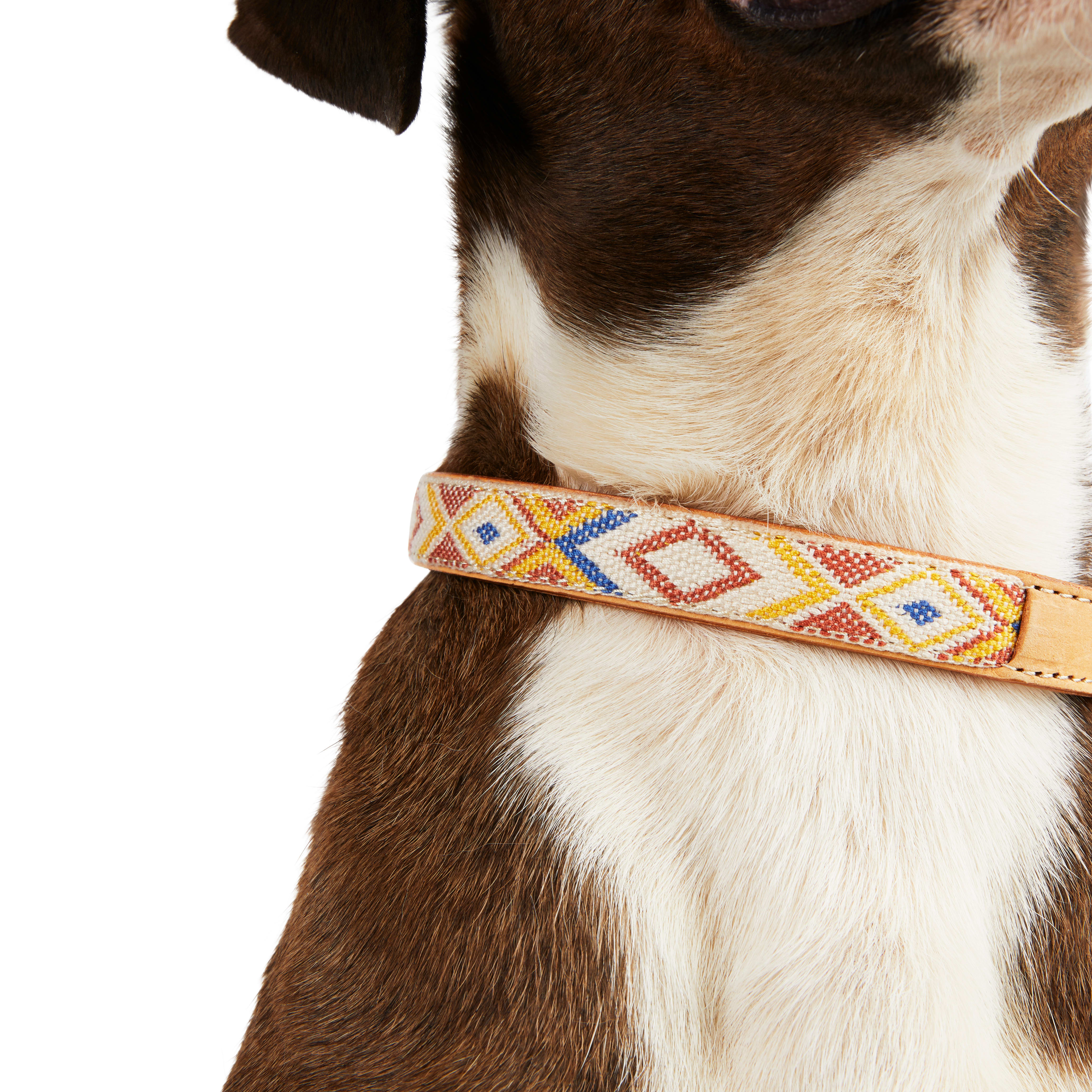 The clearance friendship collar