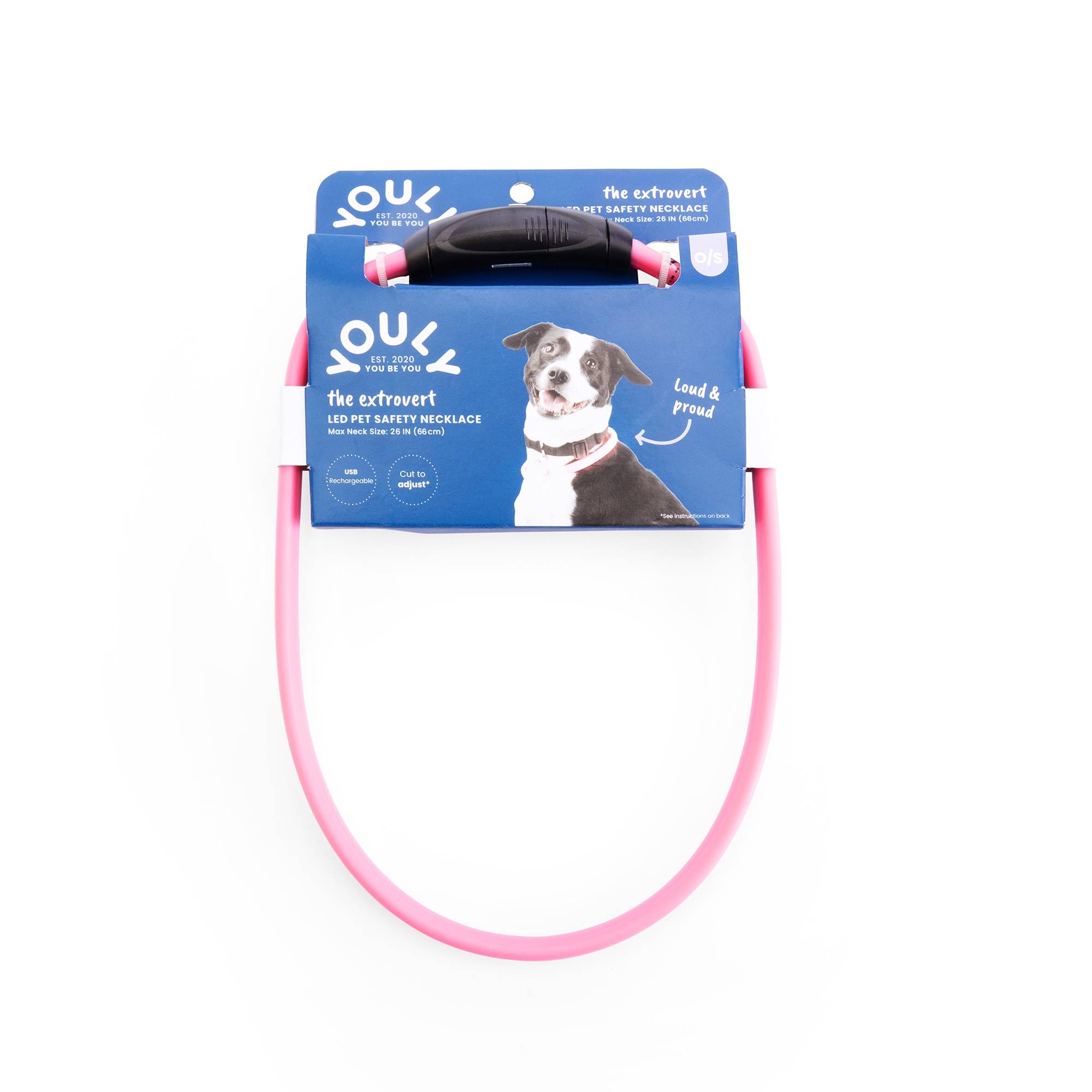 Led pet clearance collar