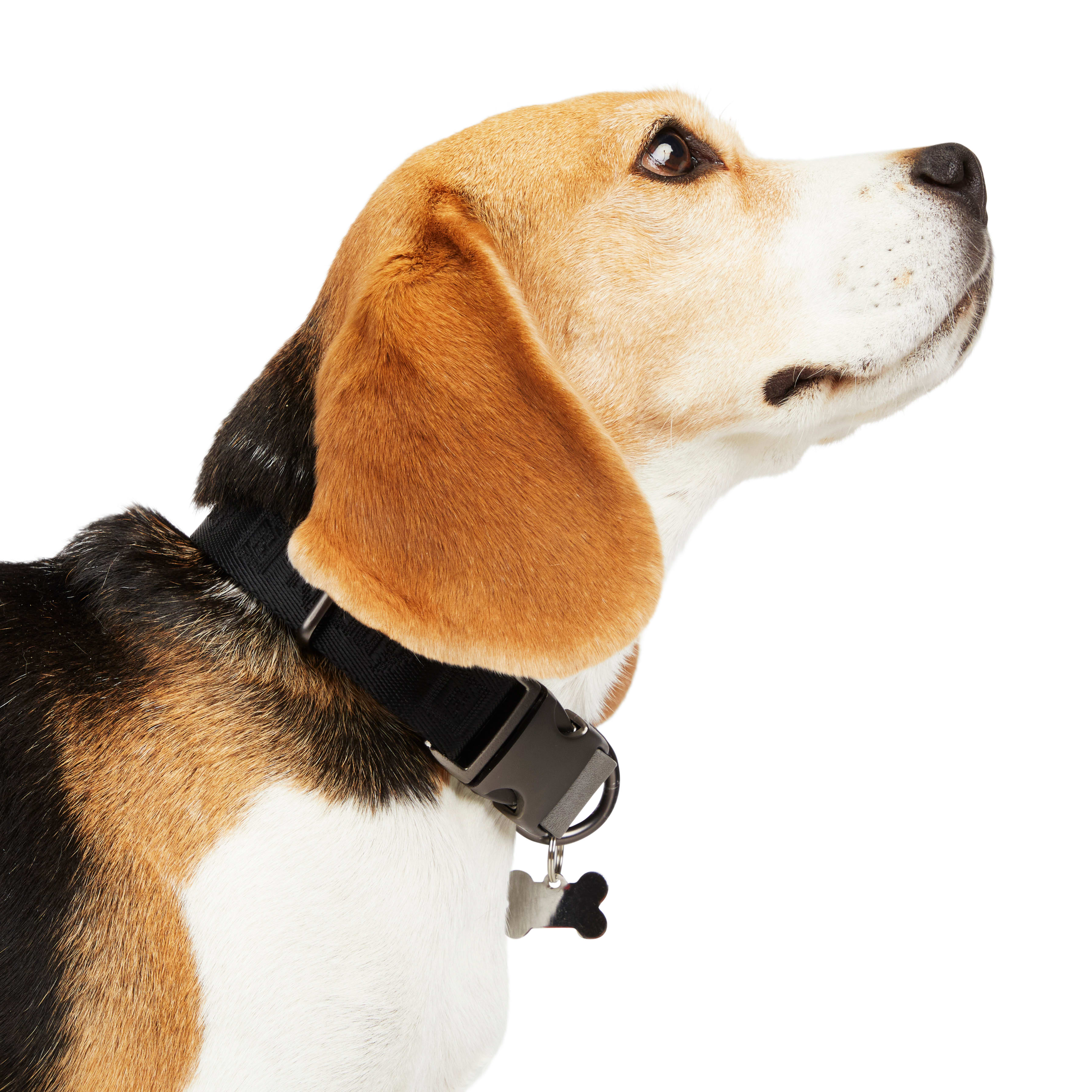 Purchase Wholesale dog collar hardware. Free Returns & Net 60