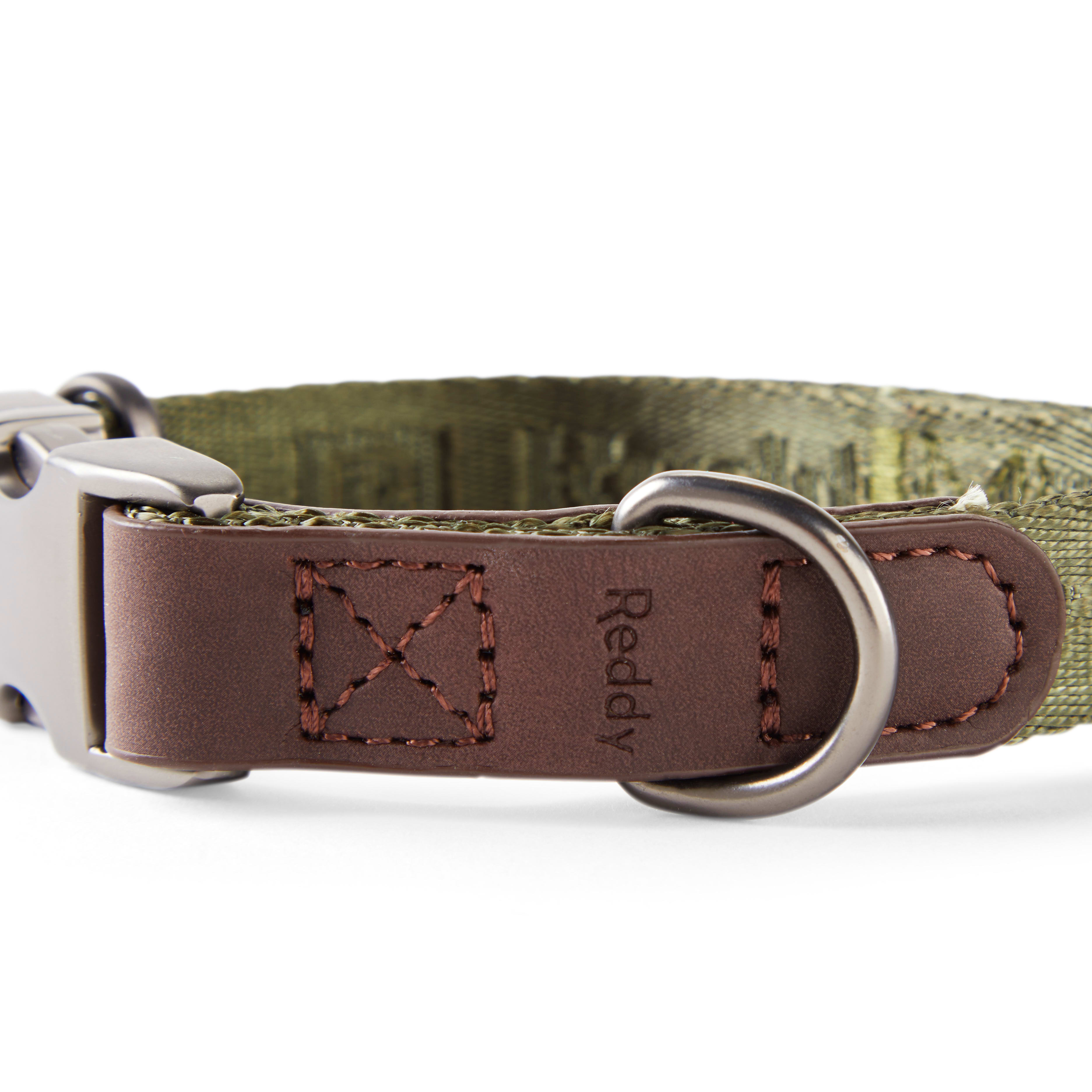 Reddy olive store webbed dog collar