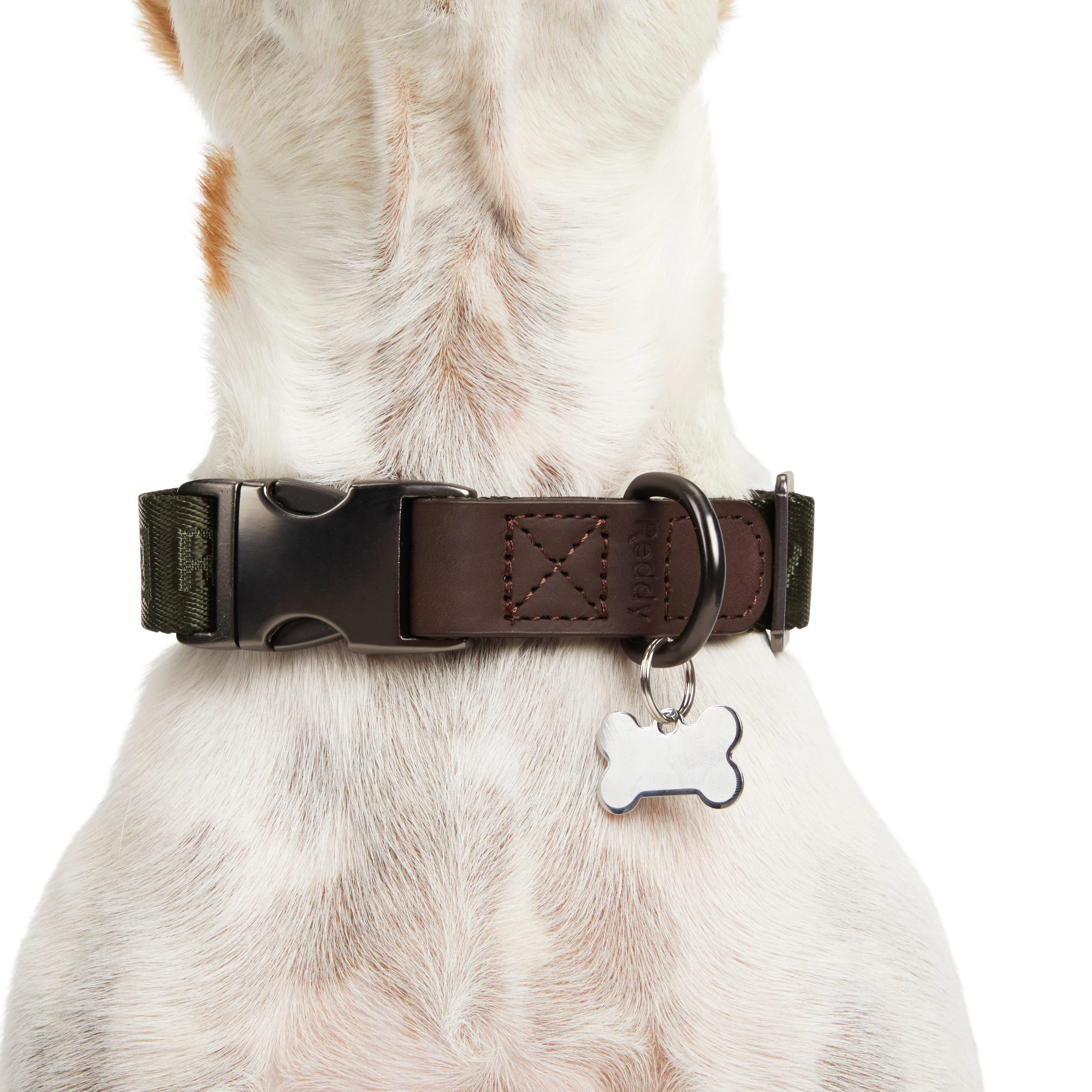 Reddy olive store webbed dog collar