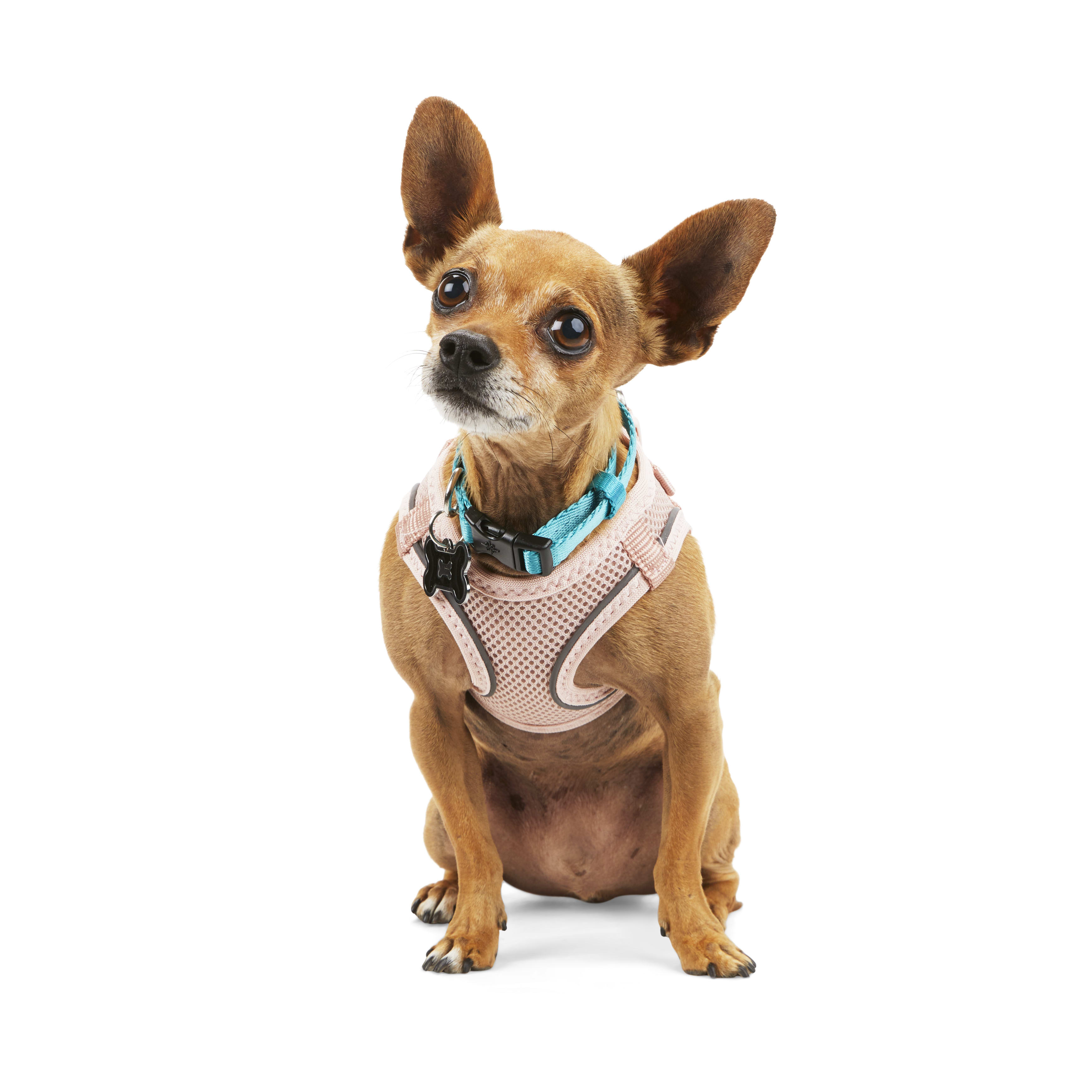 4.Pink Leash Splitter - Lutii matching leash – small dog harness