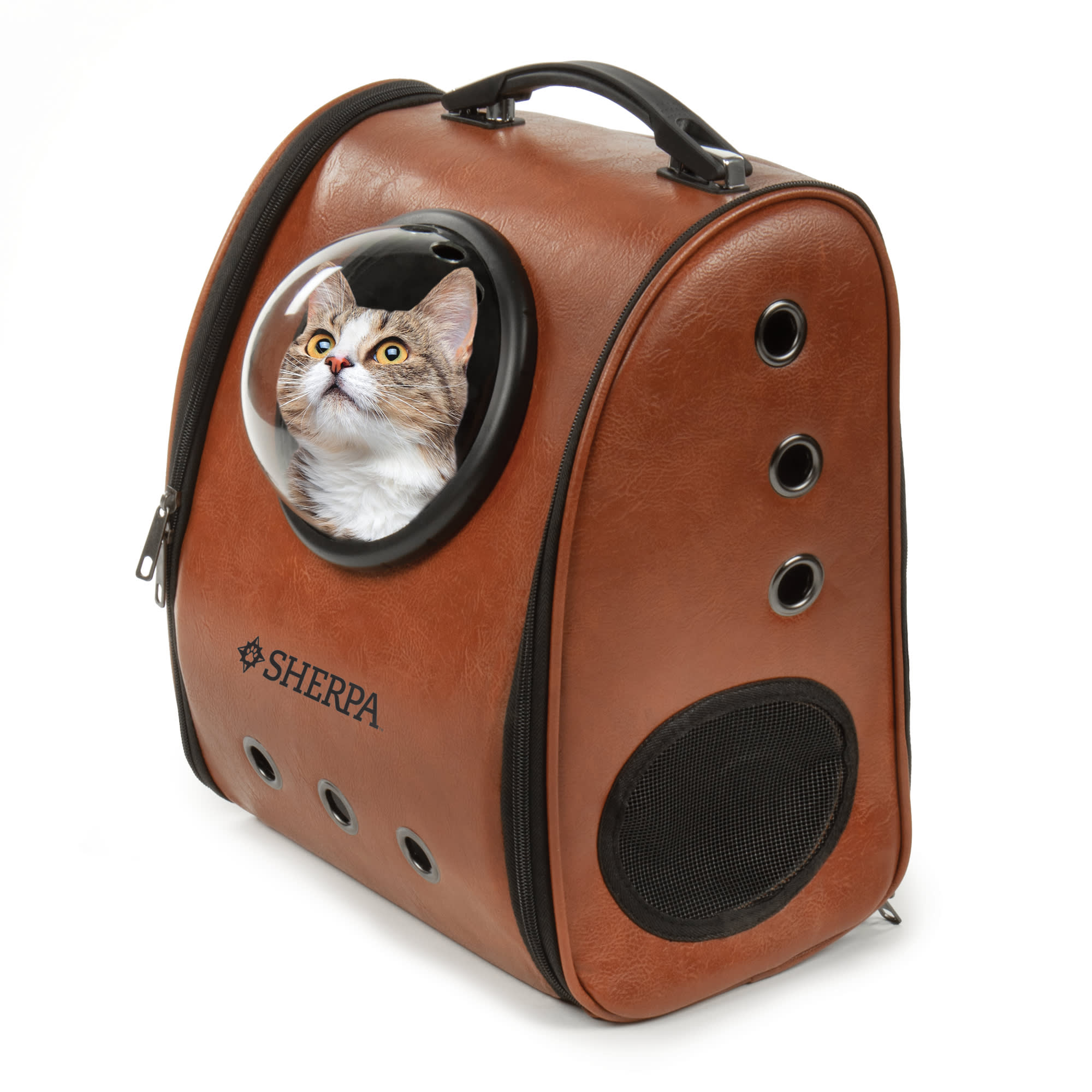 Cat with outlet backpack