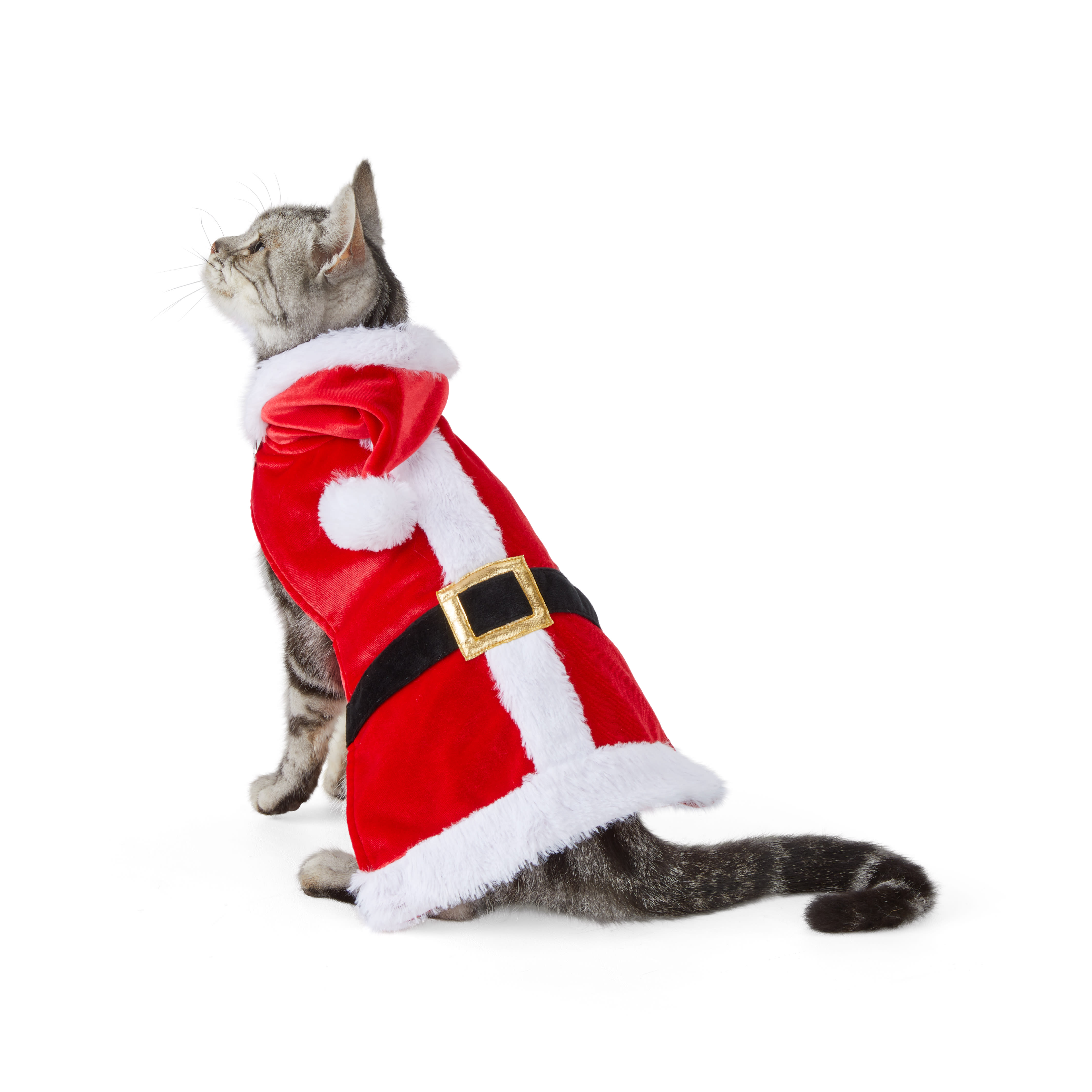 Merry Makings Kitten Santa Suit X Small Petco