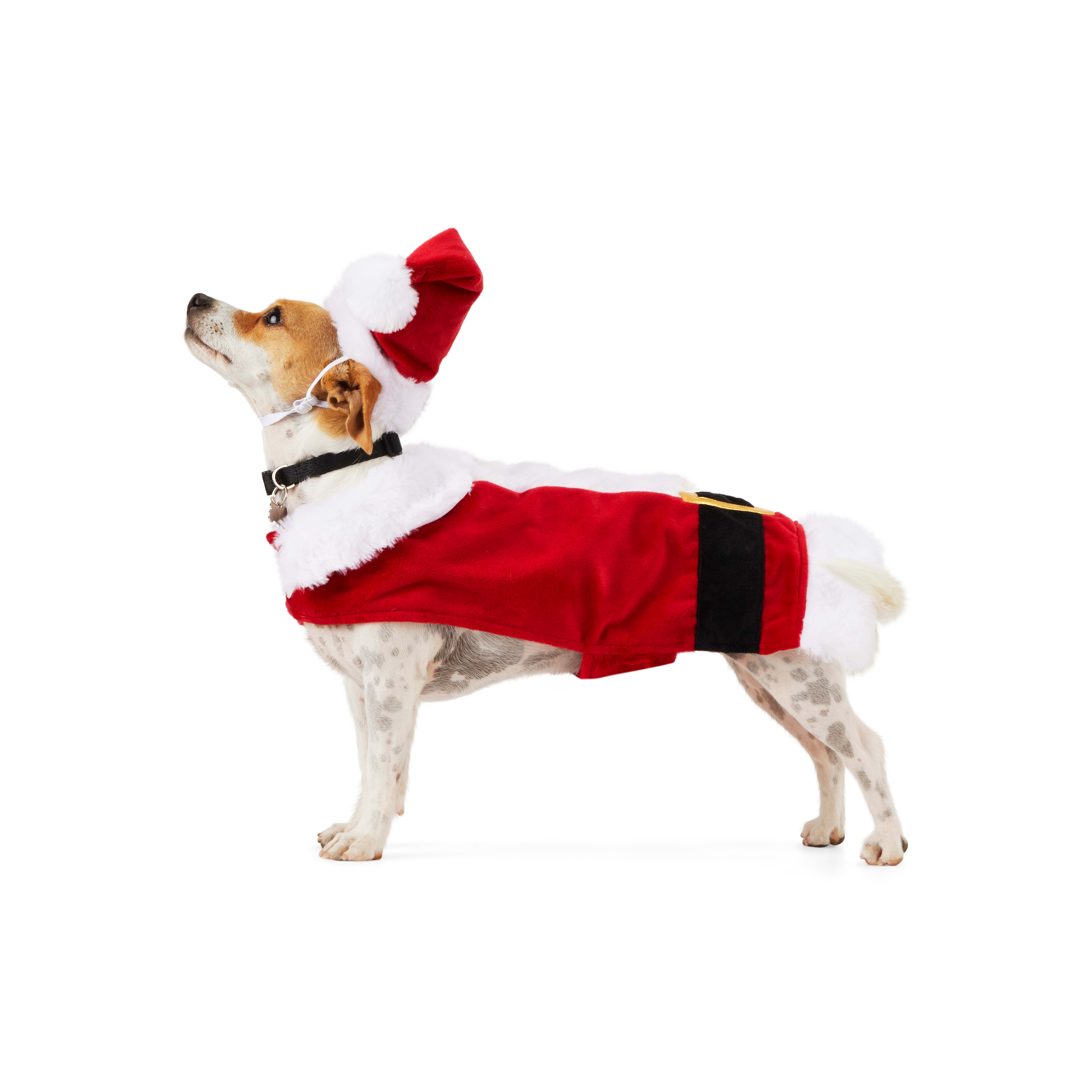 Santa suit hotsell for dogs small