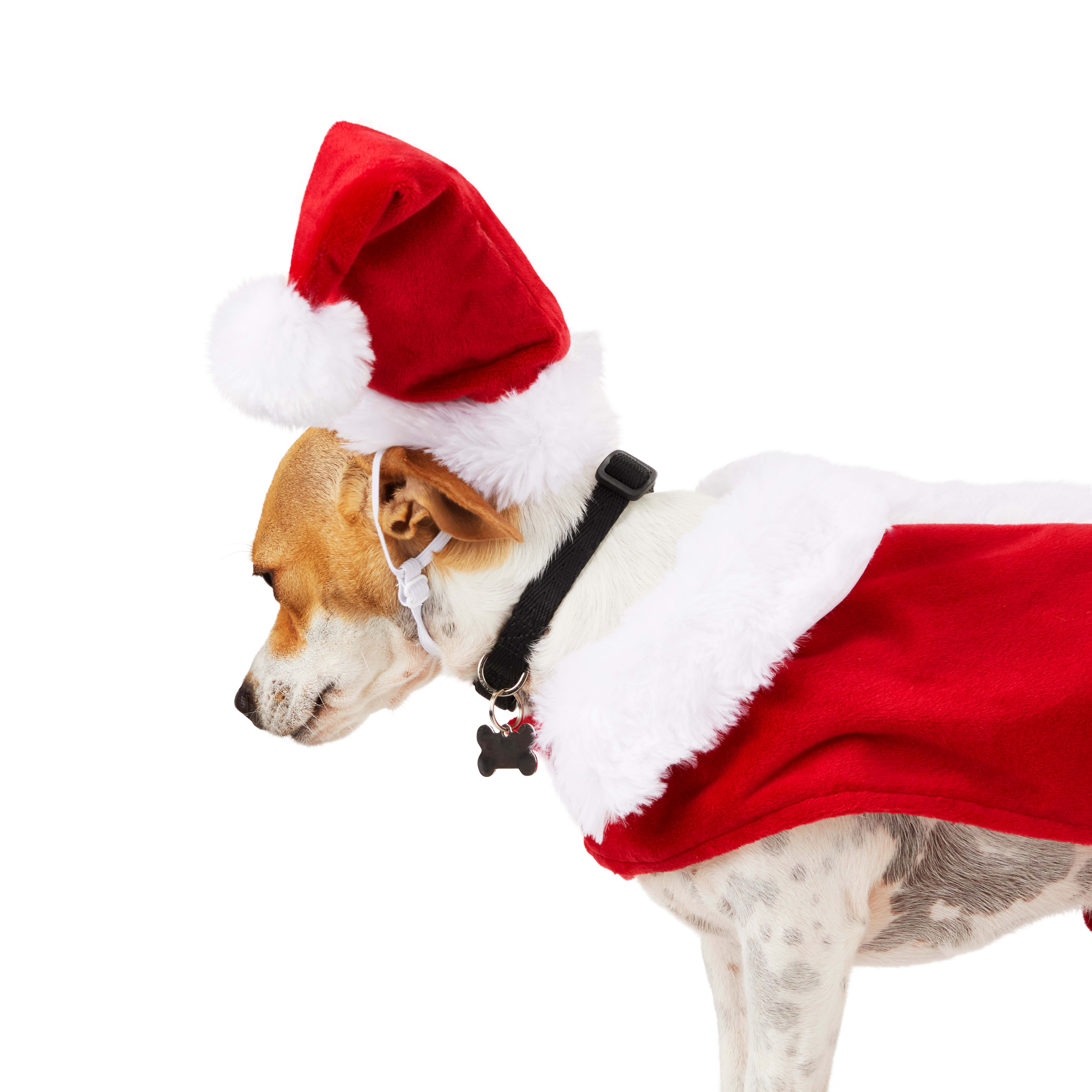Santa suit for dogs sales