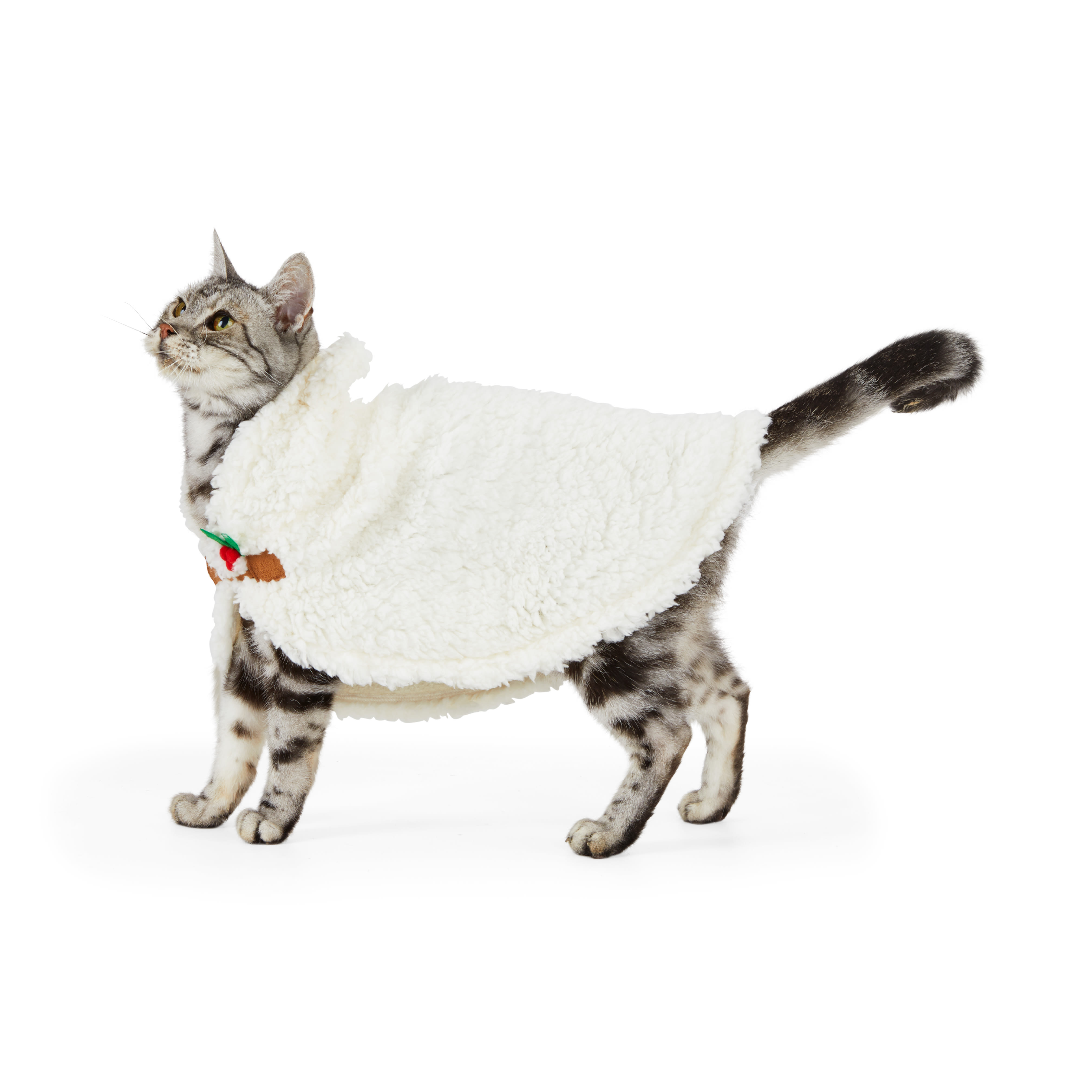 Merry Makings Cozy Cat Cape Petco