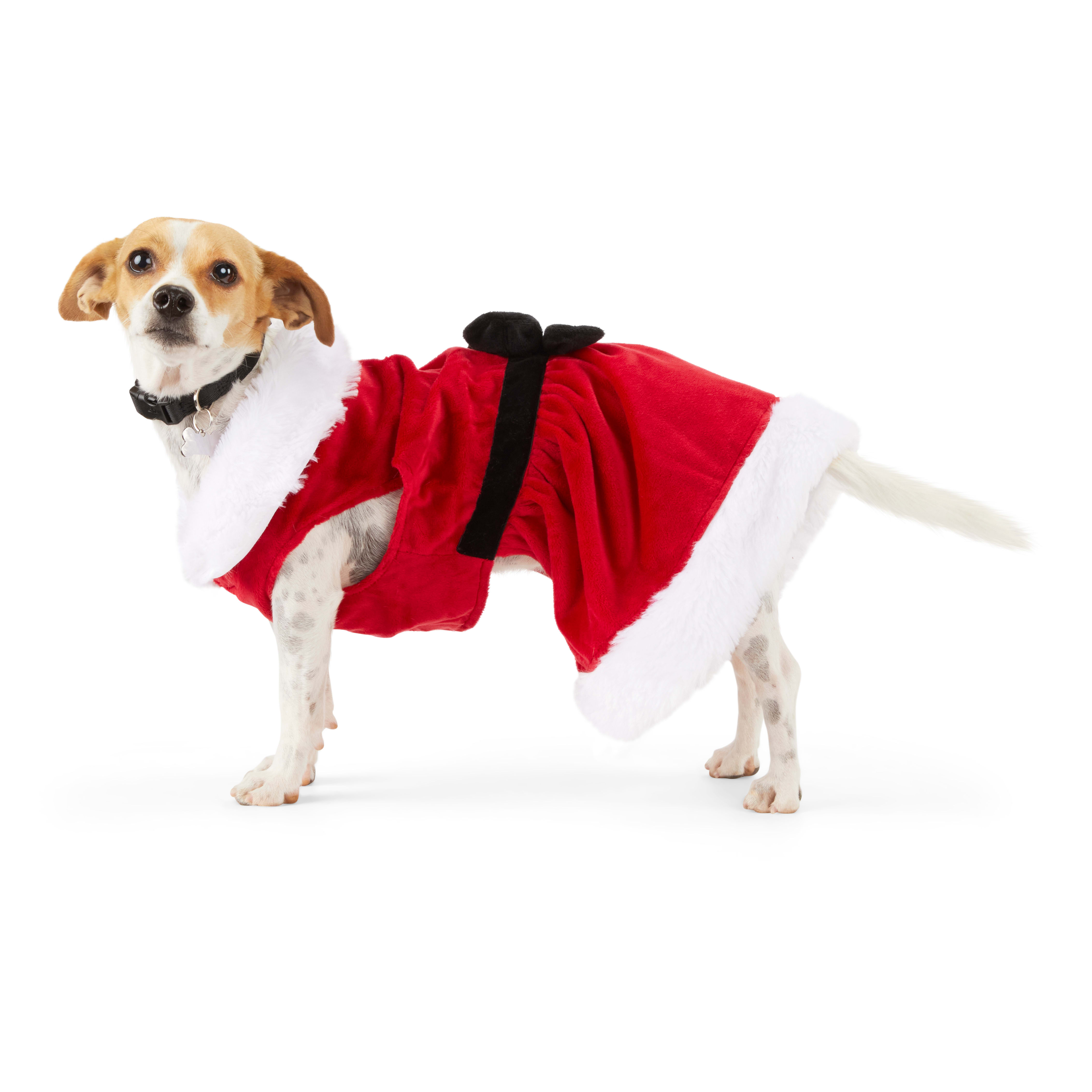 Petco dog 2024 christmas outfits