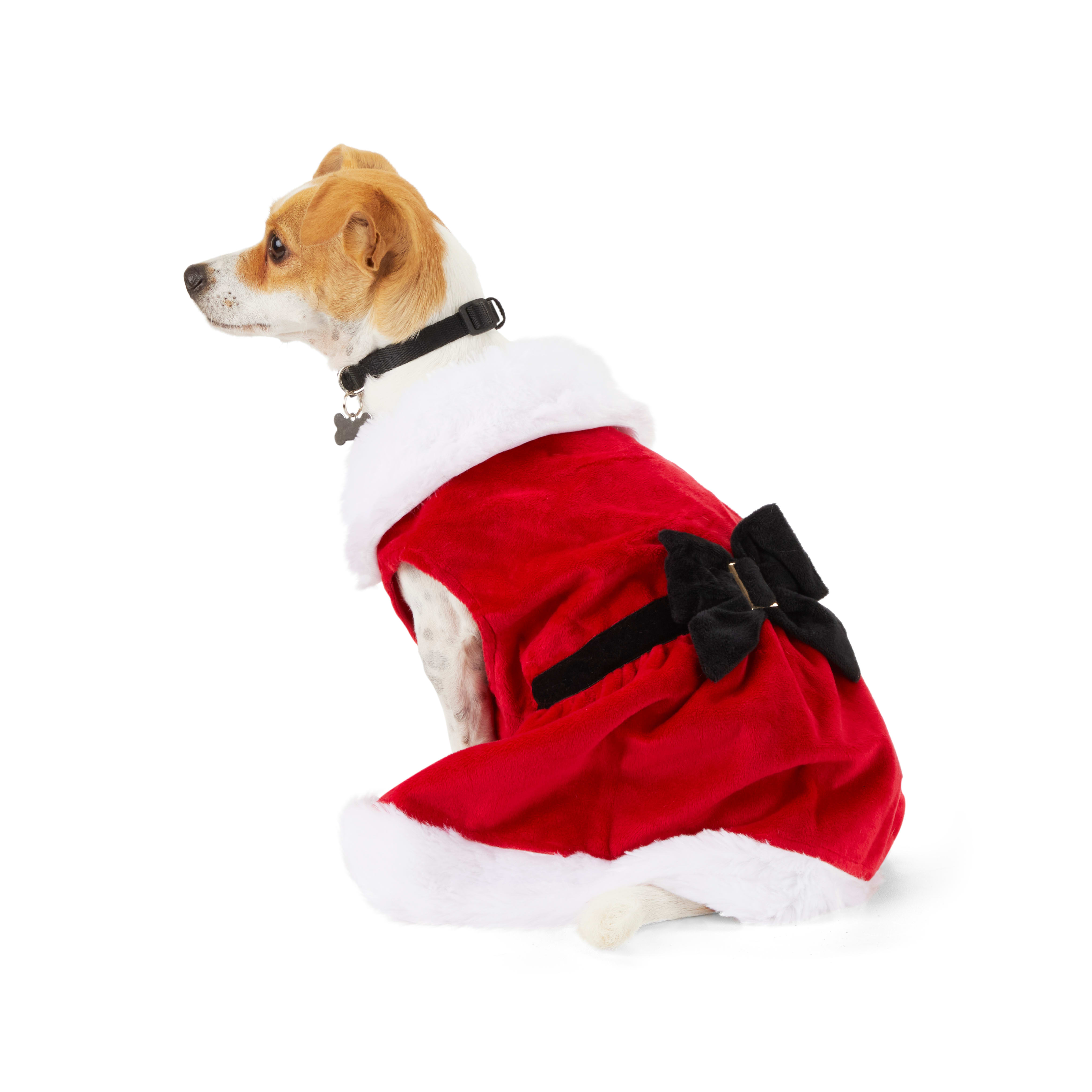 Doggie Santa Claus Pet Costume